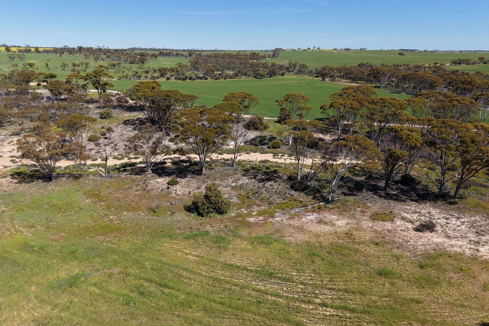 Lot 13854,  Hillam Road, Watercarrin Sold by Farmbuy.com - image 13