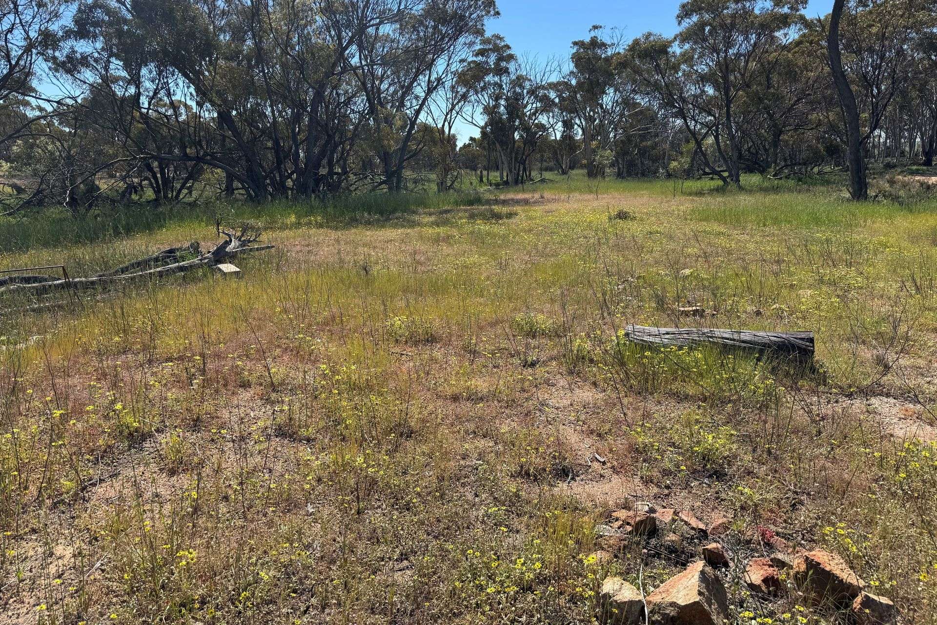 Lot 13854,  Hillam Road, Watercarrin Sold by Farmbuy.com - image 18