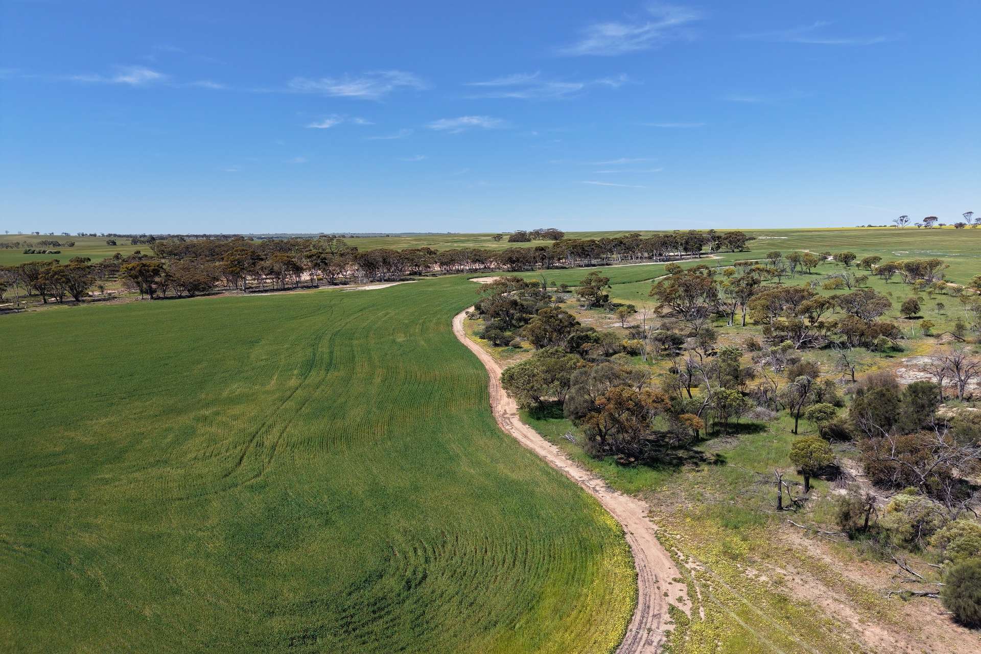 Lot 13854,  Hillam Road, Watercarrin Sold by Farmbuy.com - image 10
