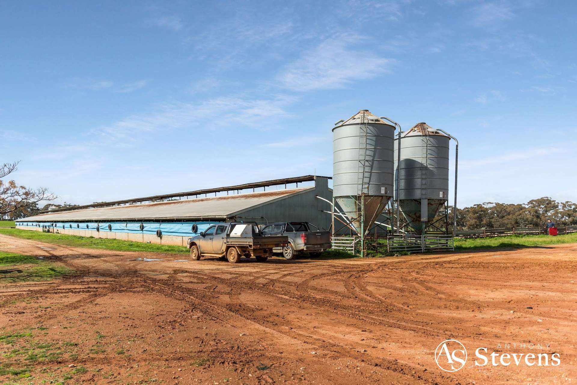 499 Old Wedderburn Road, Slaty Creek For Sale by Farmbuy.com - image 5