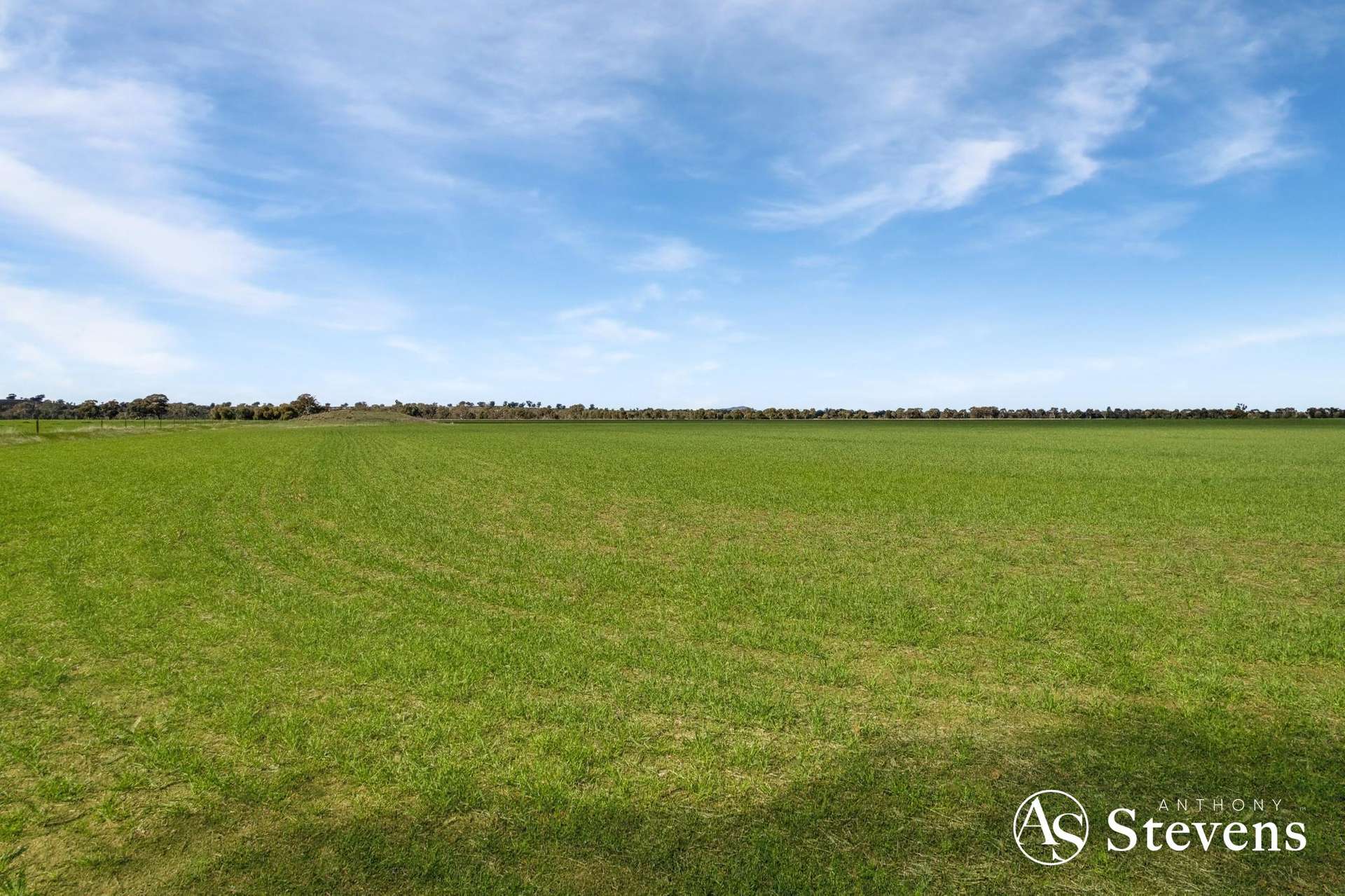 499 Old Wedderburn Road, Slaty Creek For Sale by Farmbuy.com - image 33