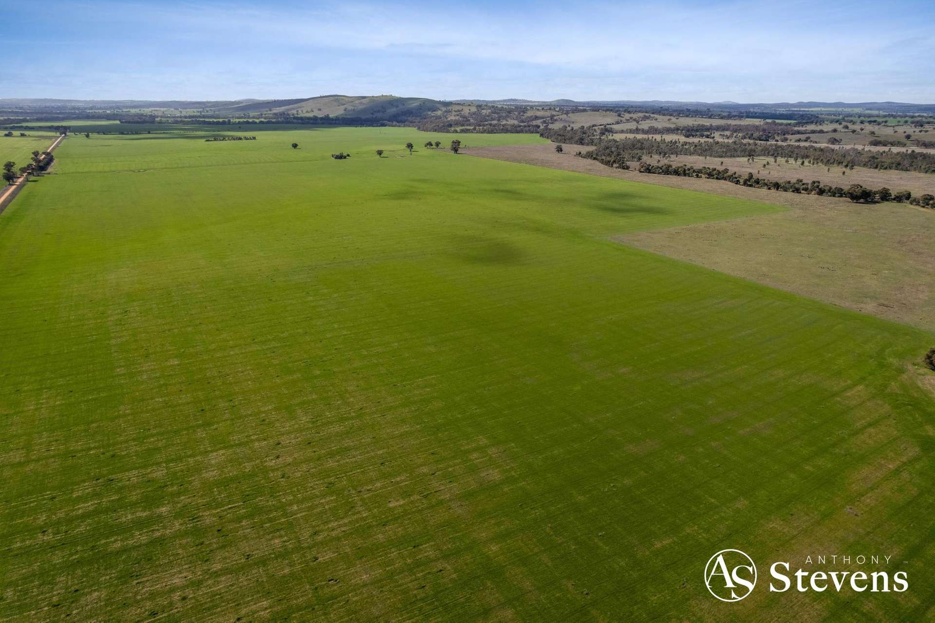 499 Old Wedderburn Road, Slaty Creek For Sale by Farmbuy.com - image 34