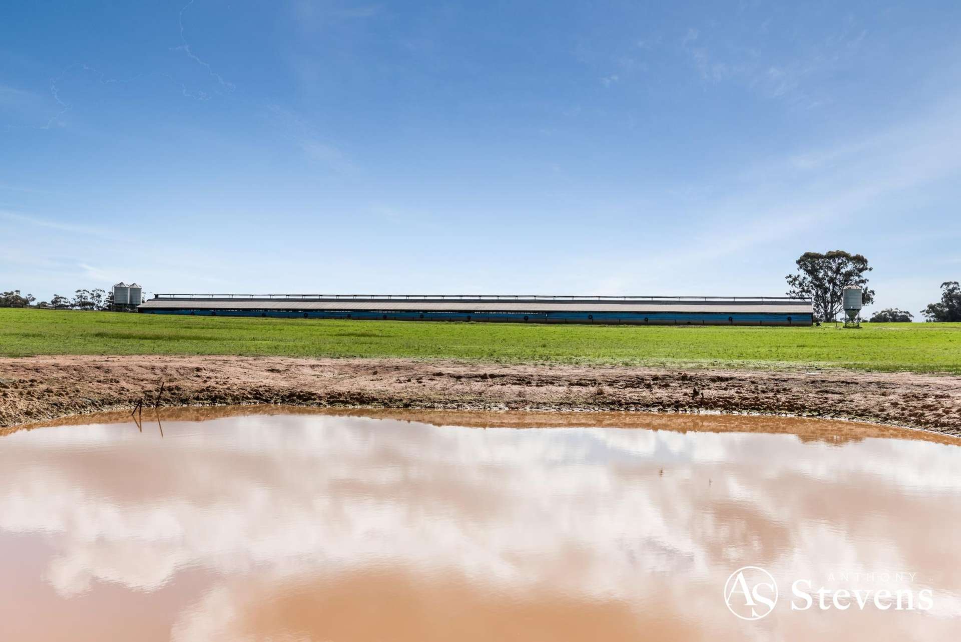 499 Old Wedderburn Road, Slaty Creek For Sale by Farmbuy.com - image 16