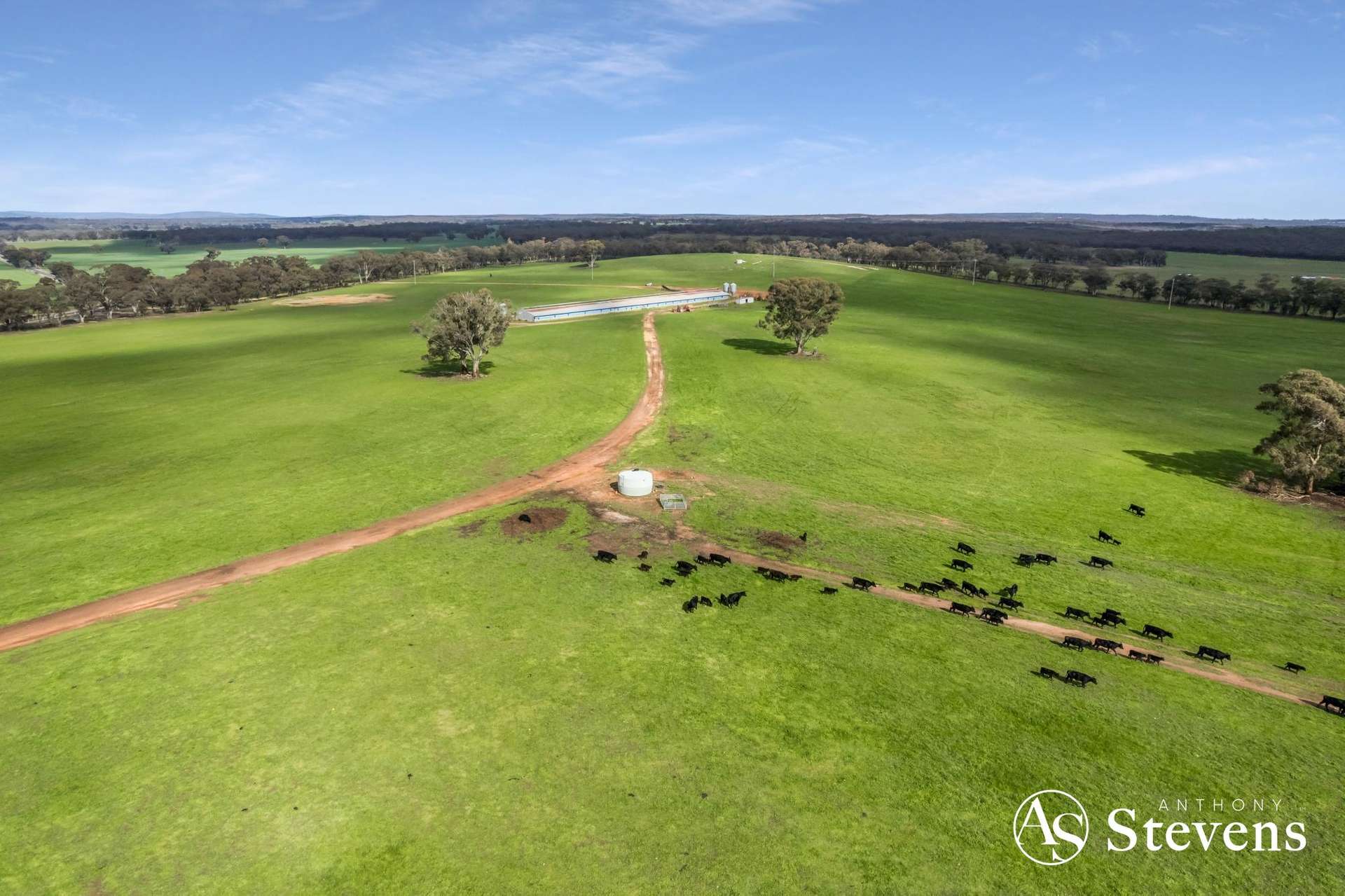 499 Old Wedderburn Road, Slaty Creek For Sale by Farmbuy.com - image 11