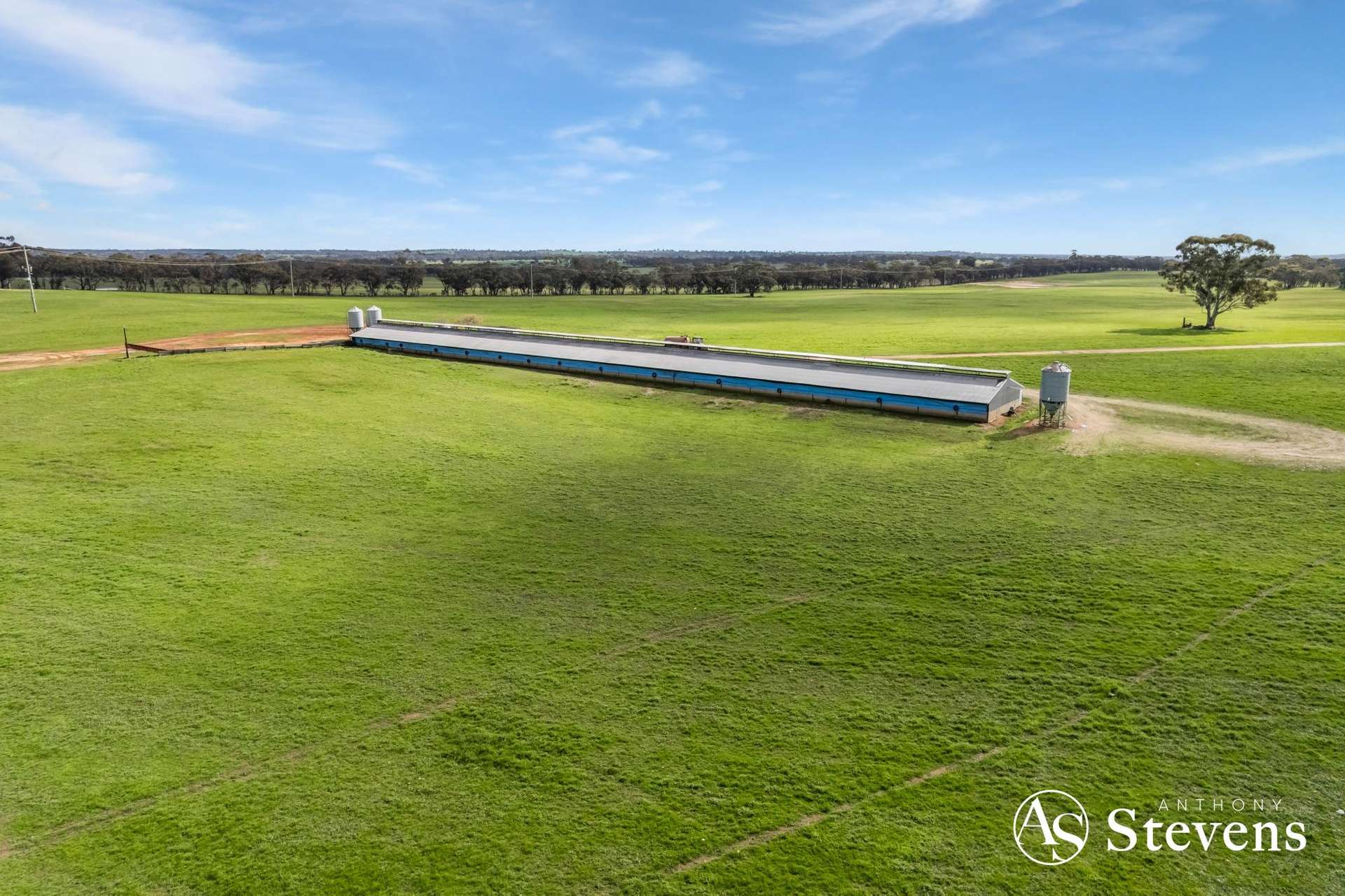 499 Old Wedderburn Road, Slaty Creek For Sale by Farmbuy.com - image 19
