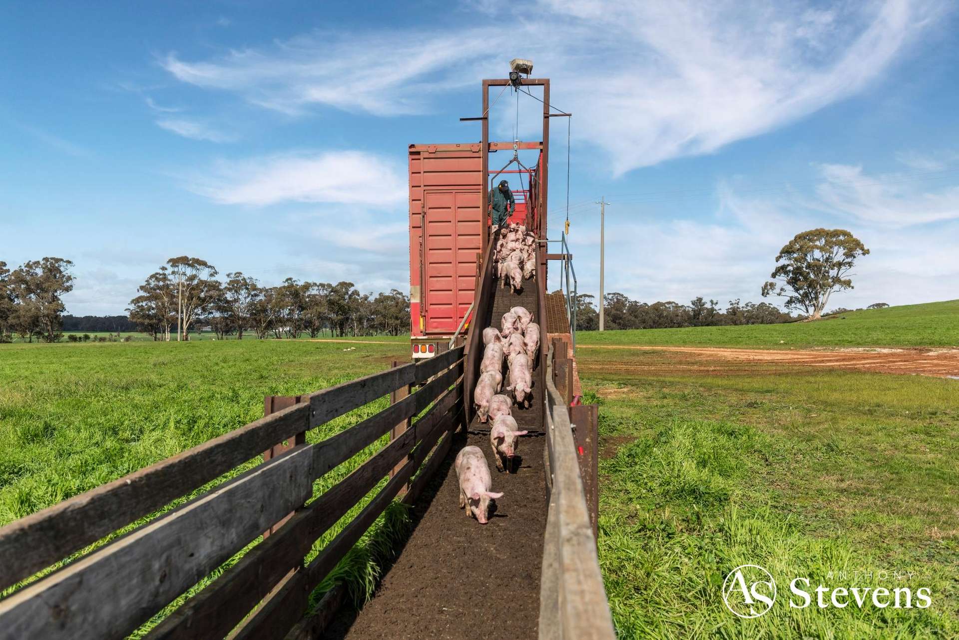 499 Old Wedderburn Road, Slaty Creek For Sale by Farmbuy.com - image 4