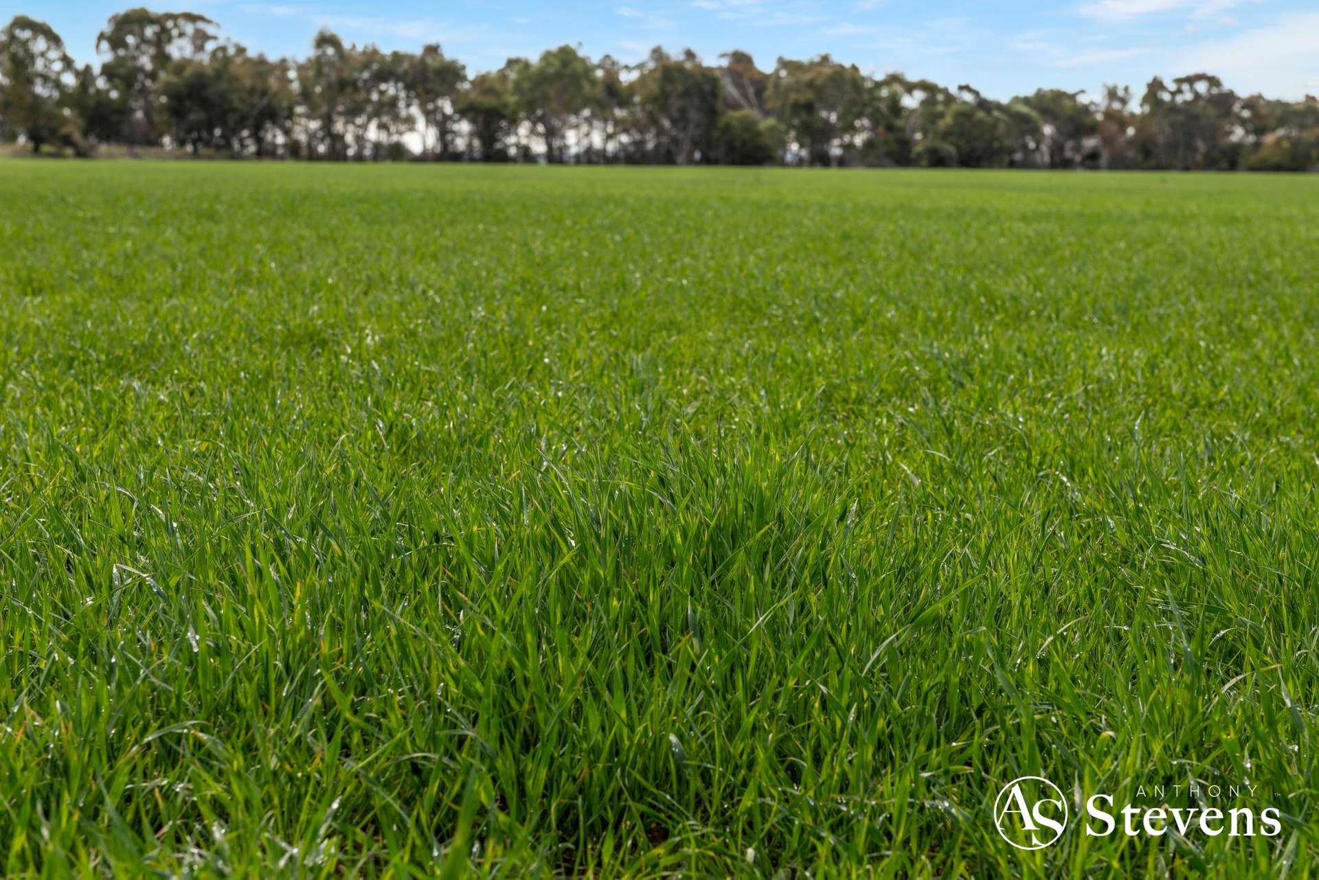499 Old Wedderburn Road, Slaty Creek For Sale by Farmbuy.com - image 30