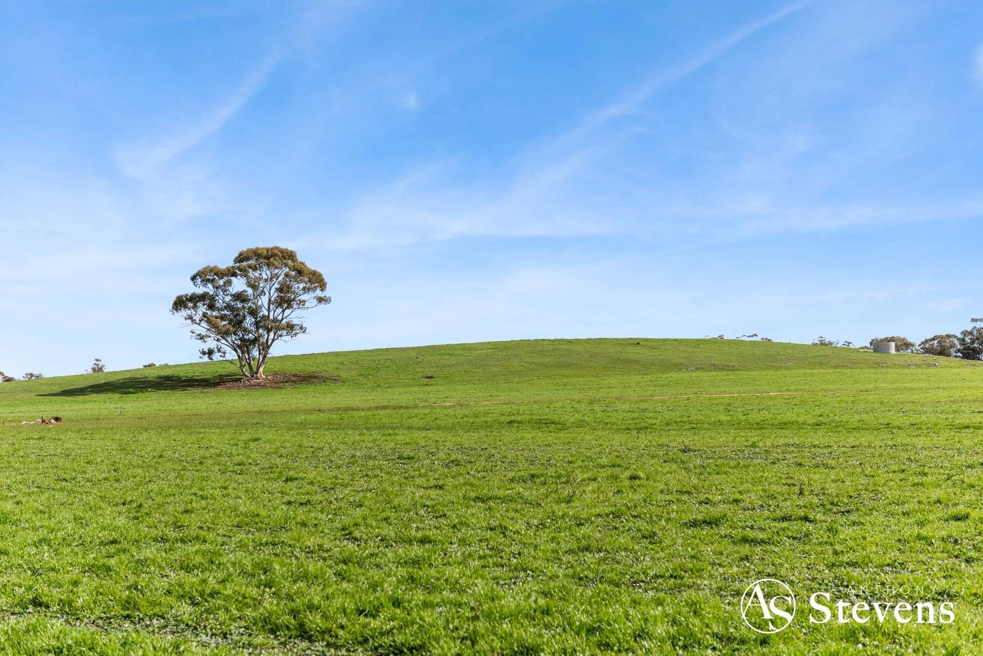 499 Old Wedderburn Road, Slaty Creek For Sale by Farmbuy.com - image 15