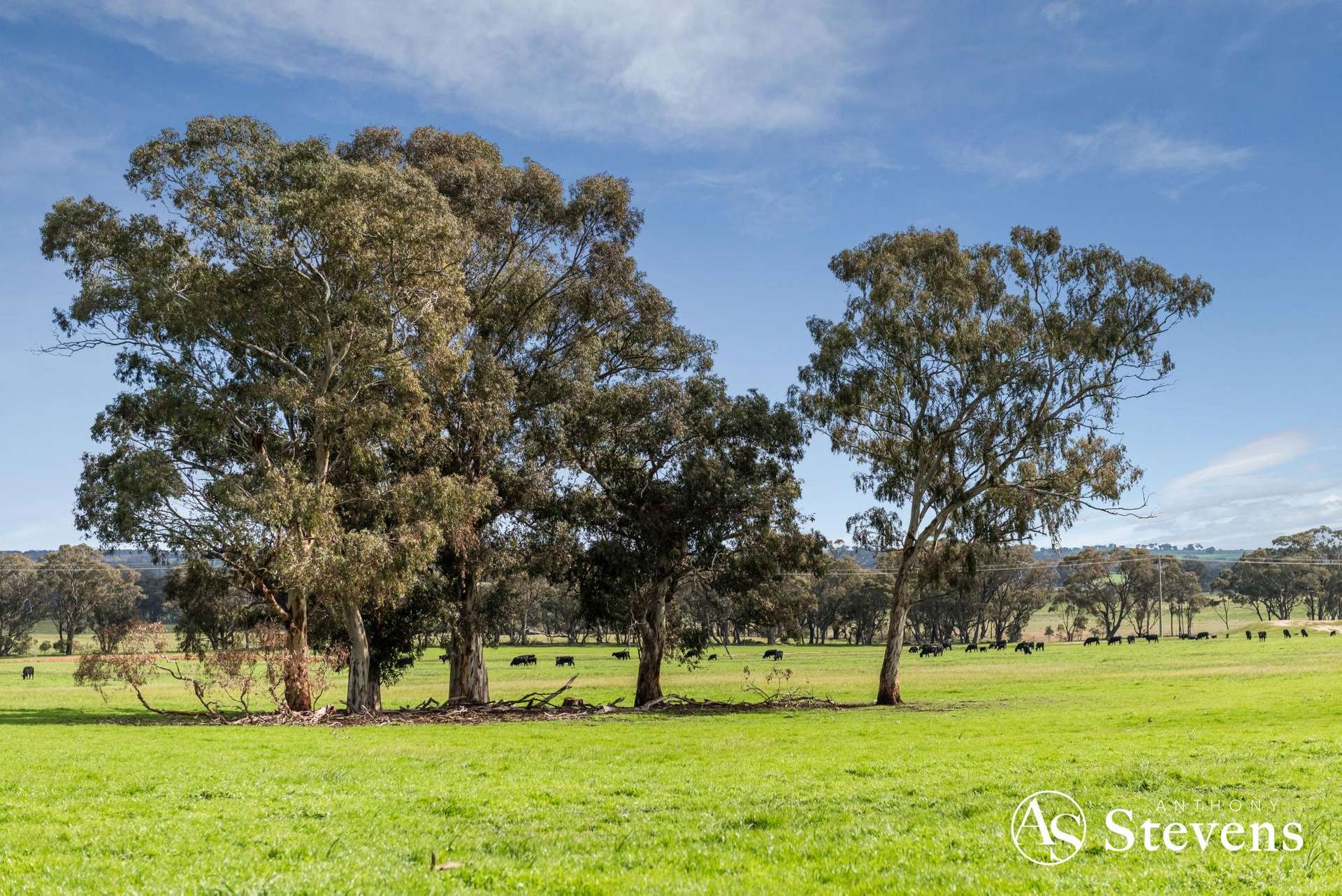 499 Old Wedderburn Road, Slaty Creek For Sale by Farmbuy.com - image 13