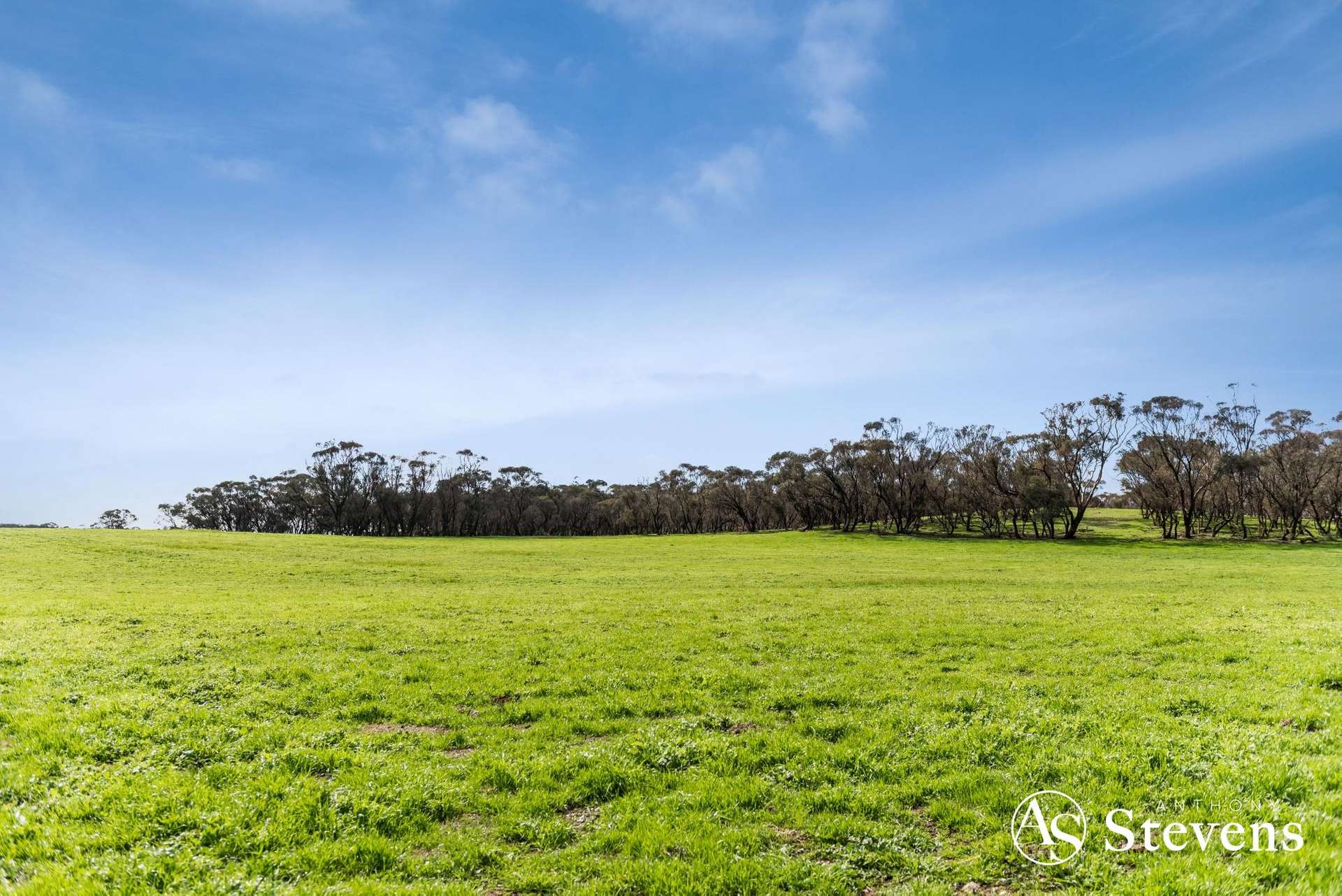 499 Old Wedderburn Road, Slaty Creek For Sale by Farmbuy.com - image 14