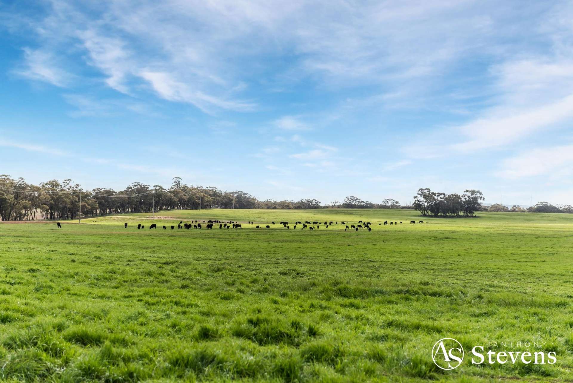 499 Old Wedderburn Road, Slaty Creek For Sale by Farmbuy.com - image 12