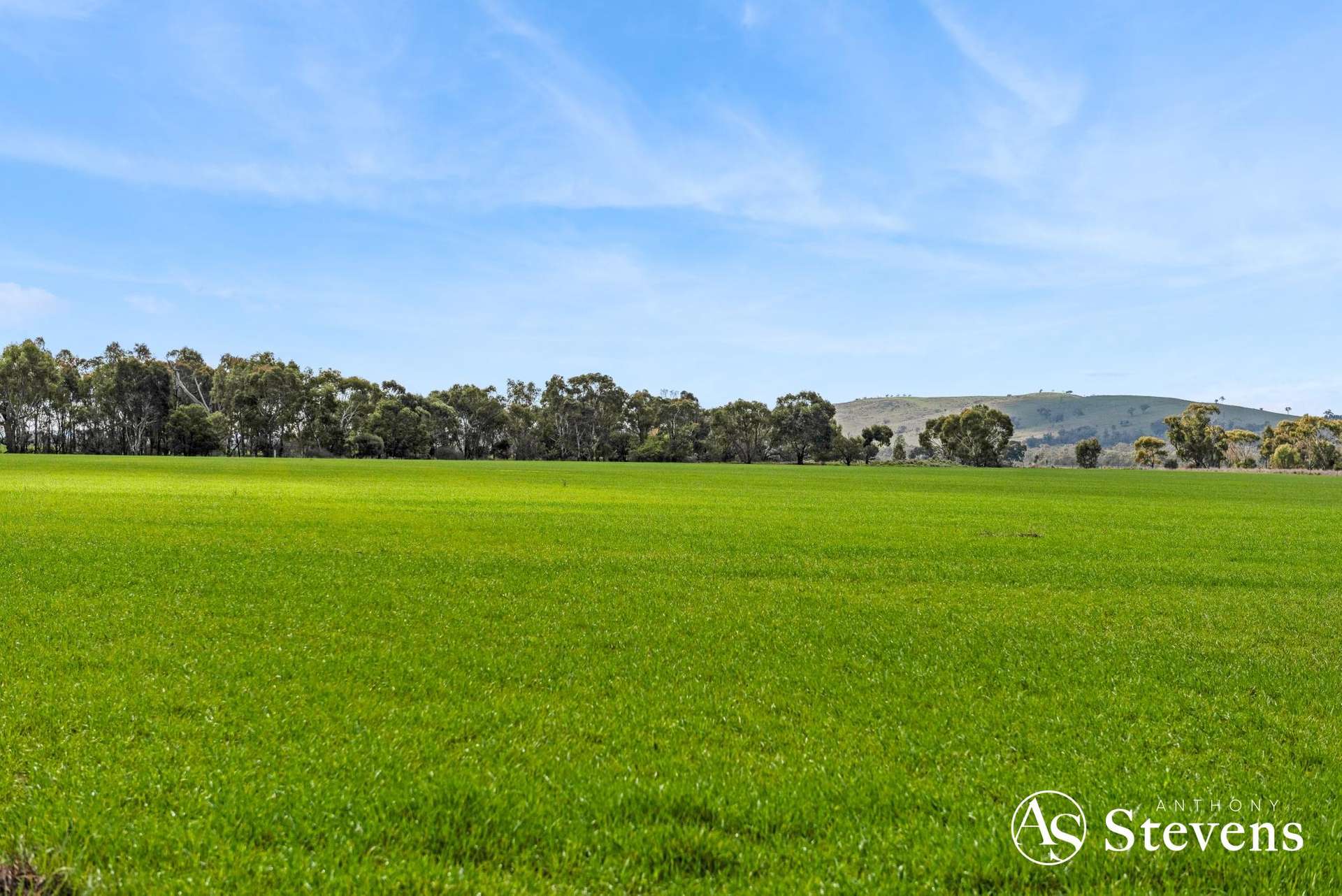 499 Old Wedderburn Road, Slaty Creek For Sale by Farmbuy.com - image 31