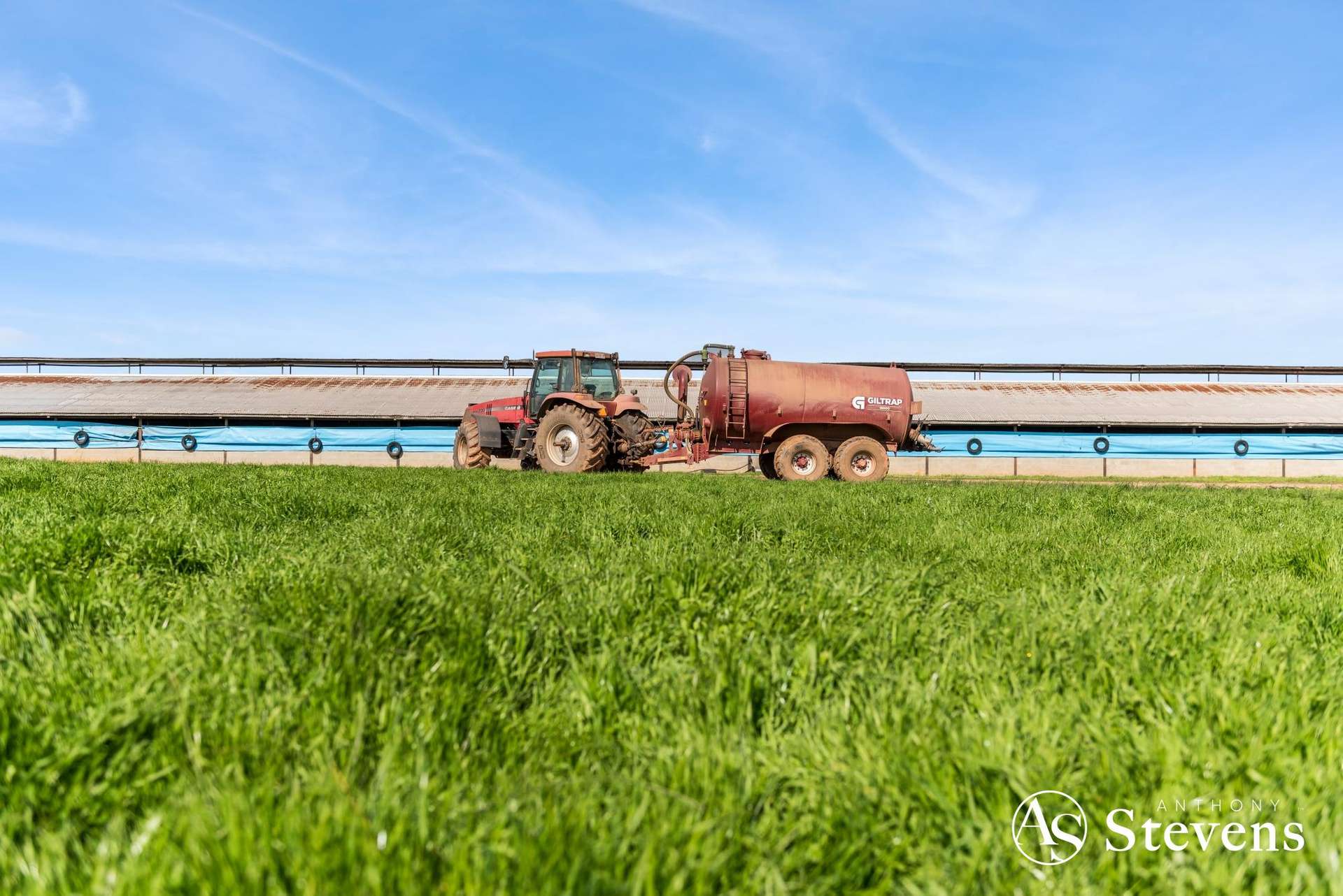 499 Old Wedderburn Road, Slaty Creek For Sale by Farmbuy.com - image 3