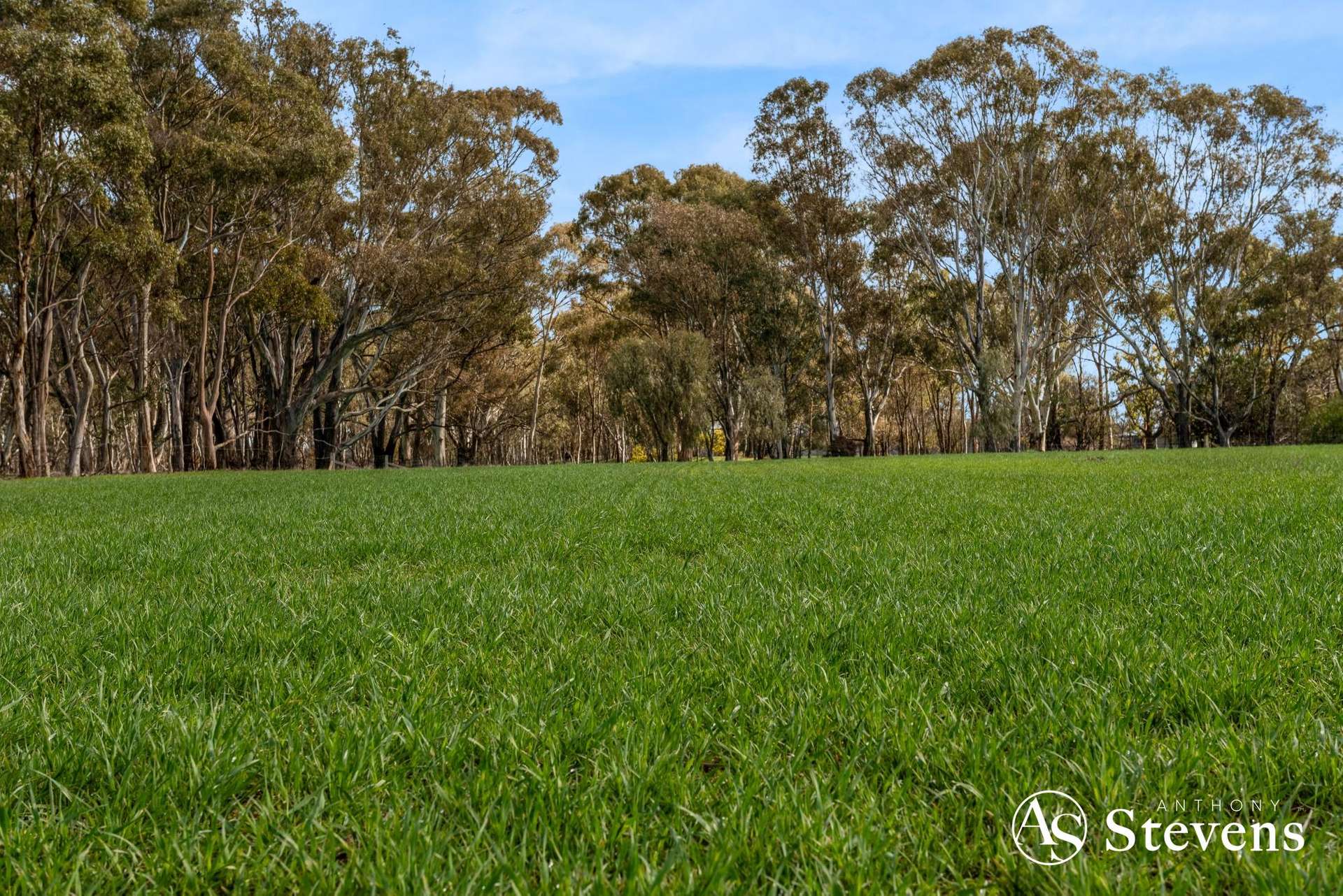 499 Old Wedderburn Road, Slaty Creek For Sale by Farmbuy.com - image 32
