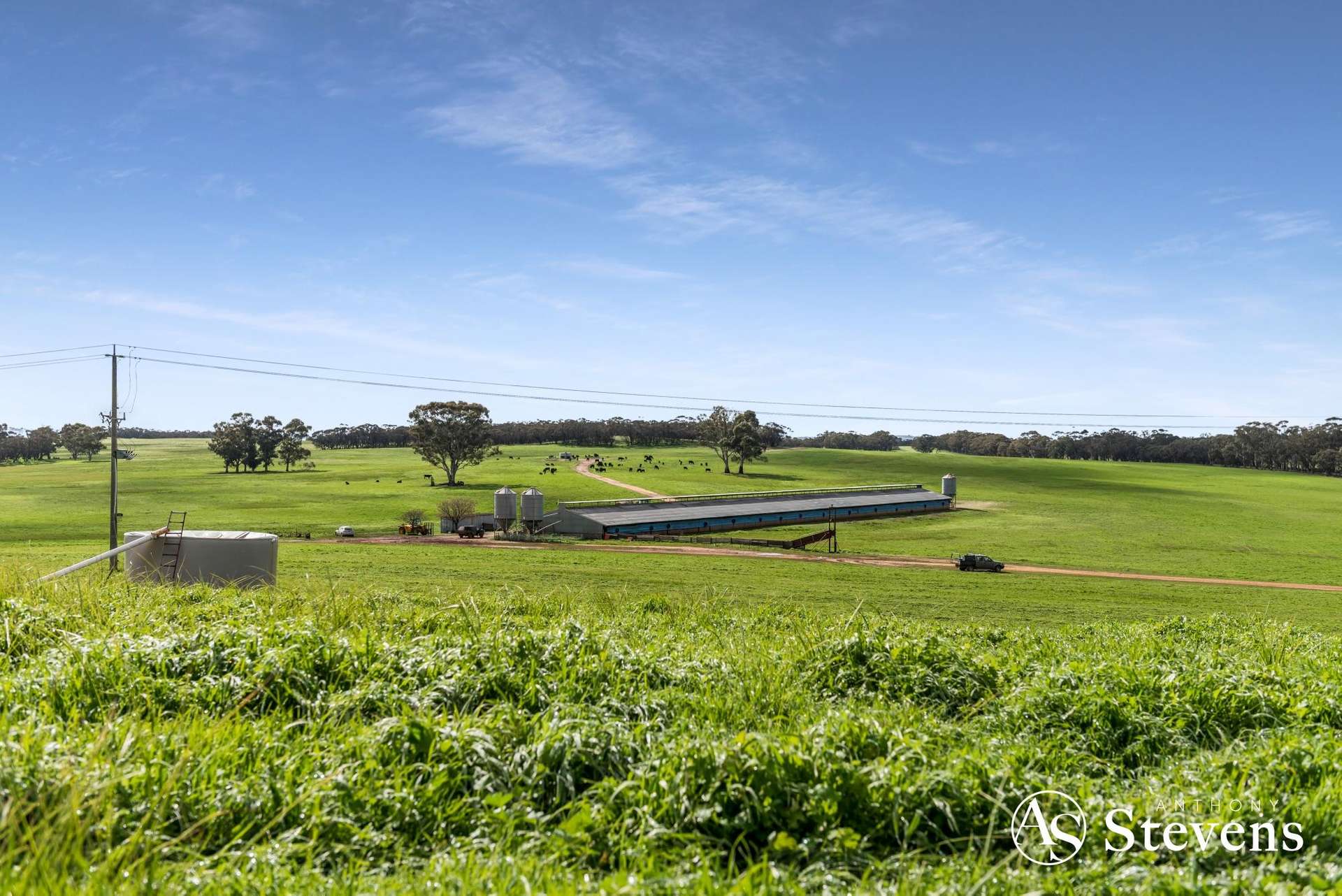 499 Old Wedderburn Road, Slaty Creek For Sale by Farmbuy.com - image 2