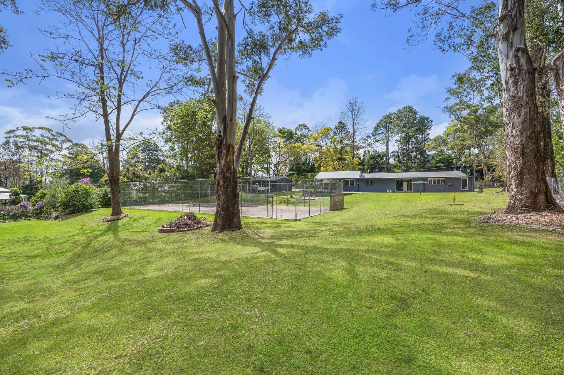237 North Maleny Road, North Maleny For Sale by Farmbuy.com - image 6