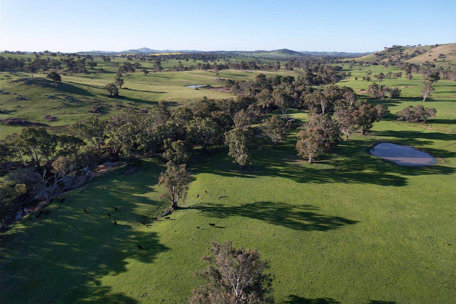 0 Illalong Road, Bookham For Sale by Farmbuy.com - image 14