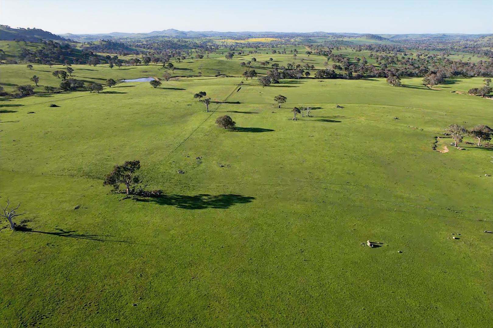 0 Illalong Road, Bookham For Sale by Farmbuy.com - image 2