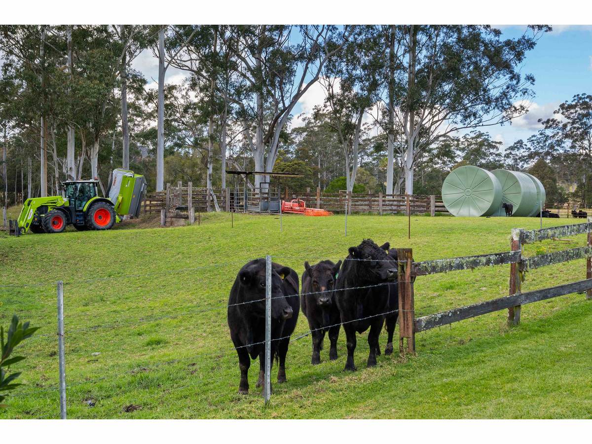 115 Herivels Road, Wootton For Sale by Farmbuy.com - image 15