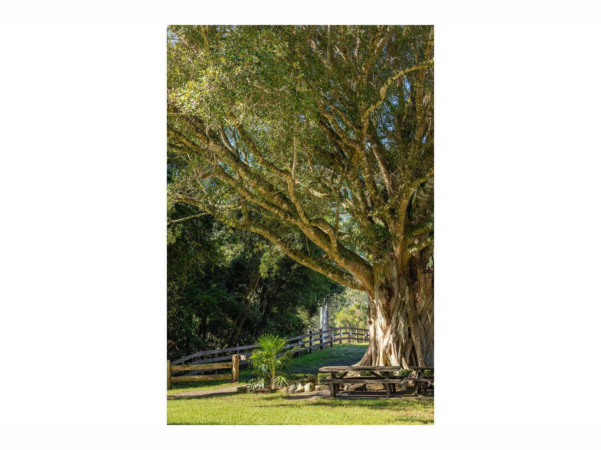 115 Herivels Road, Wootton For Sale by Farmbuy.com - image 20