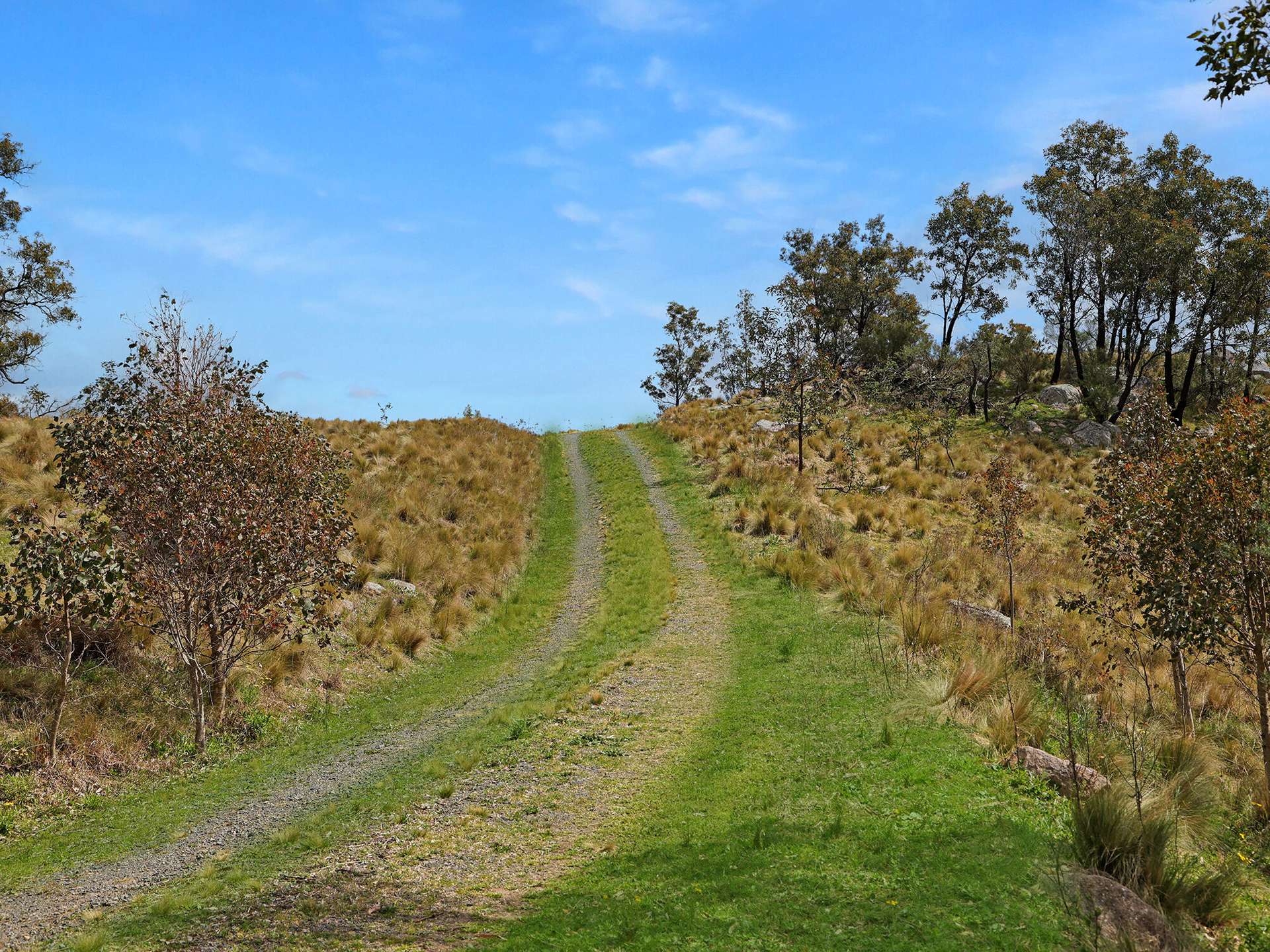 116 Pheasant Gully Road, Bullio Sold by Farmbuy.com - image 16