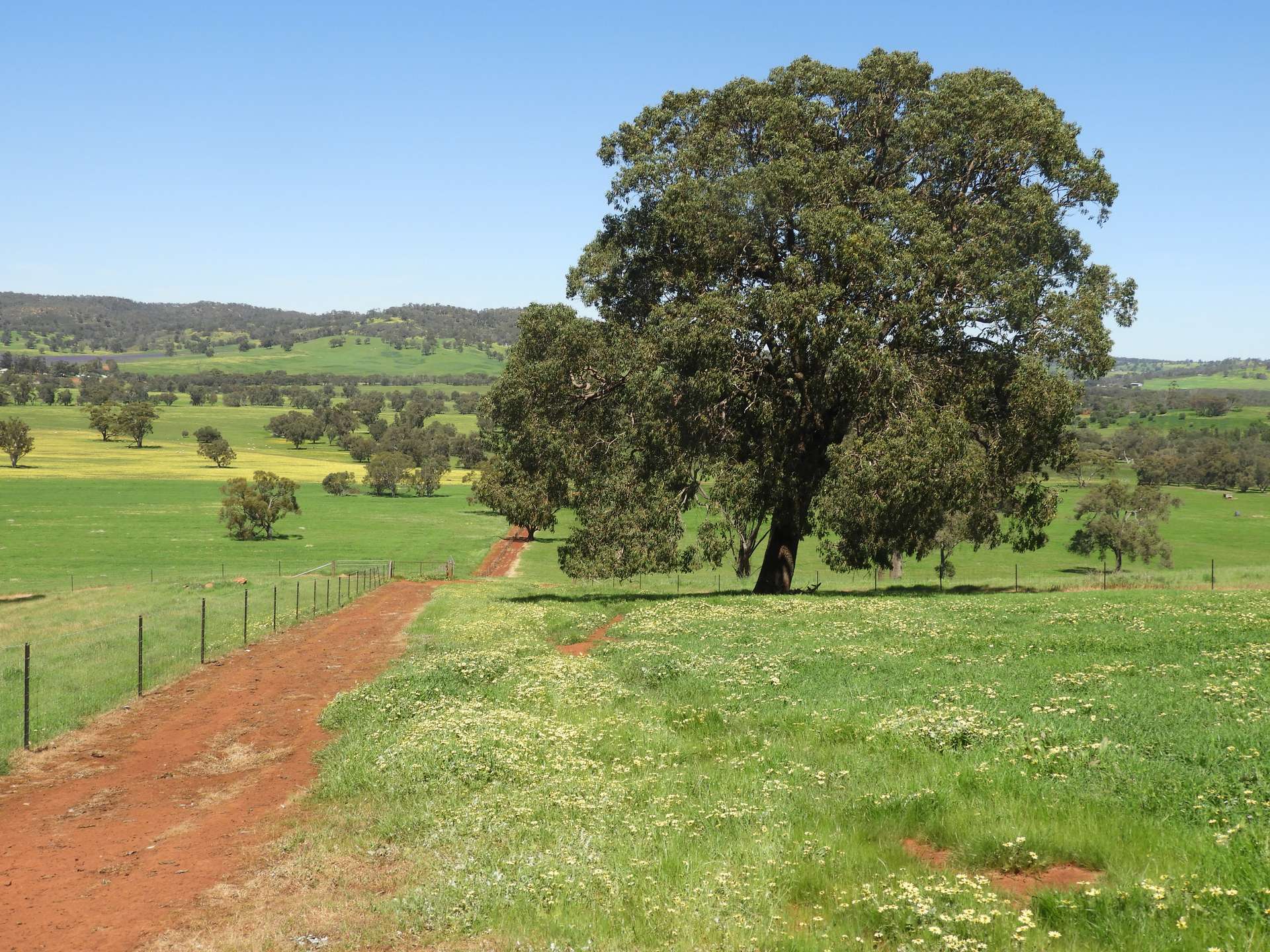 The Breakaway, Great Northern Highway, Bindoon Sold by Farmbuy.com - image 2