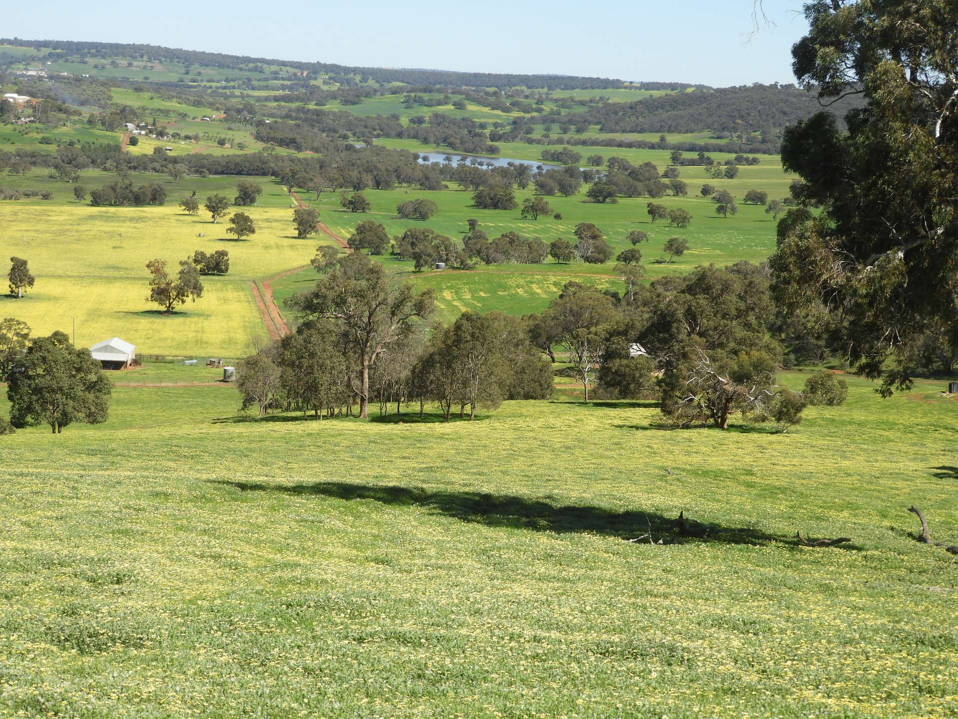 The Breakaway, Great Northern Highway, Bindoon Sold by Farmbuy.com - image 6