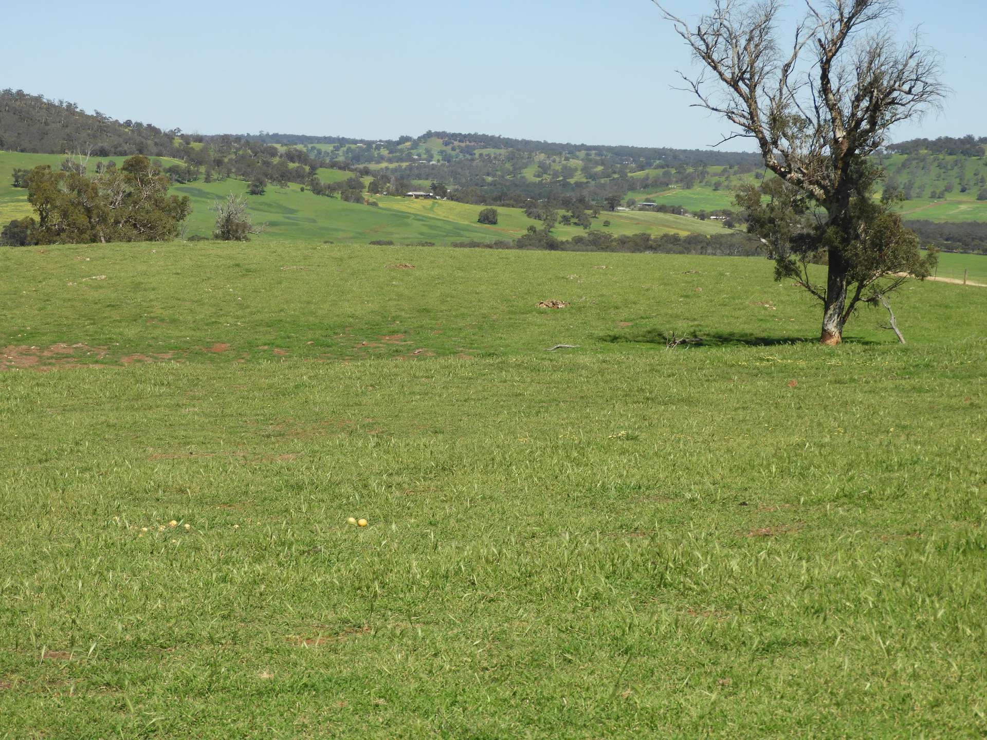 The Breakaway, Great Northern Highway, Bindoon Sold by Farmbuy.com - image 10