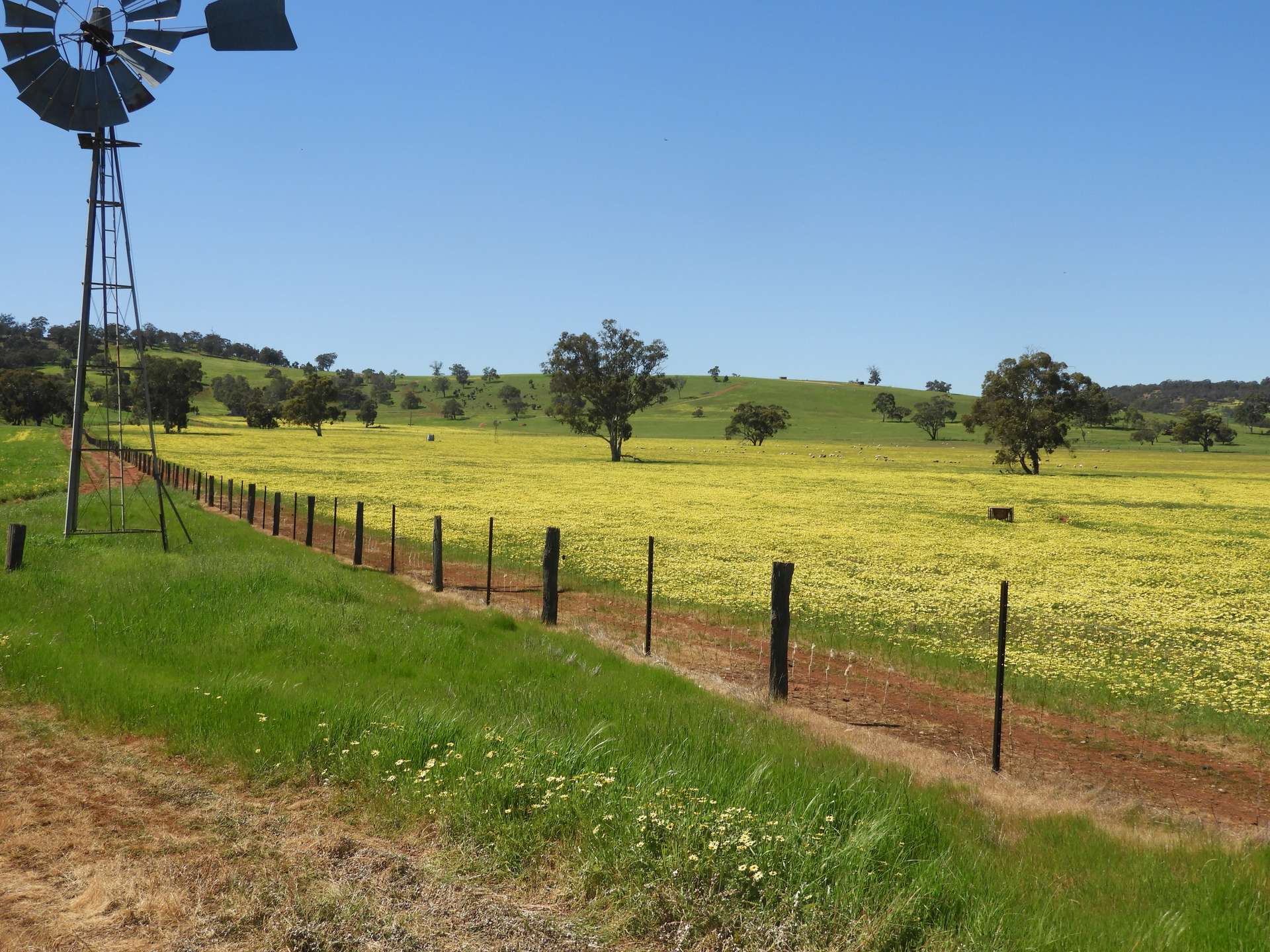 The Breakaway, Great Northern Highway, Bindoon Sold by Farmbuy.com - image 4