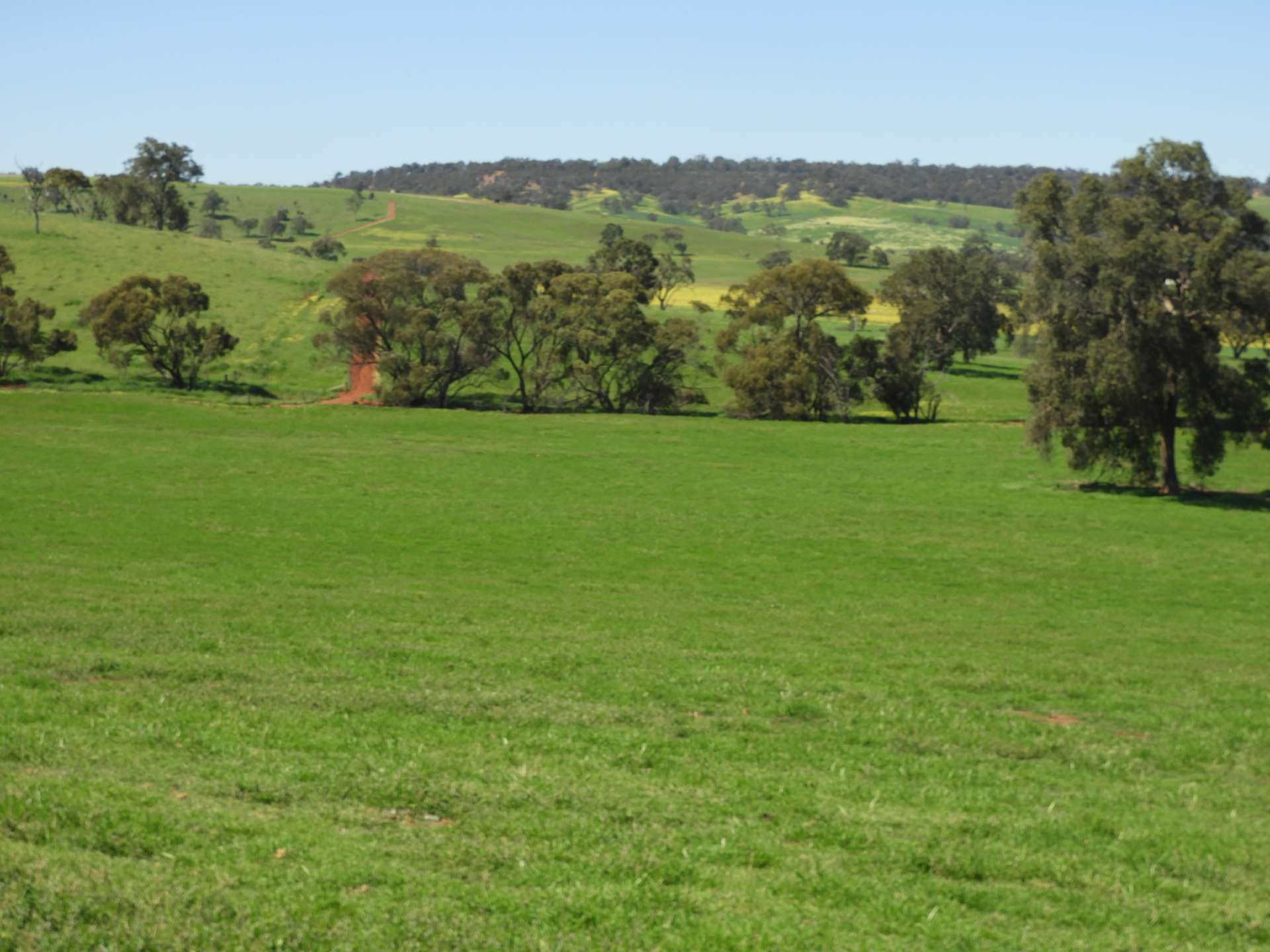 The Breakaway, Great Northern Highway, Bindoon Sold by Farmbuy.com - image 3