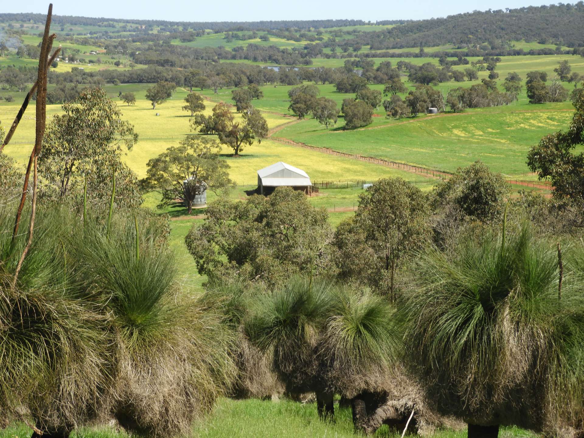 The Breakaway, Great Northern Highway, Bindoon Sold by Farmbuy.com - image 7