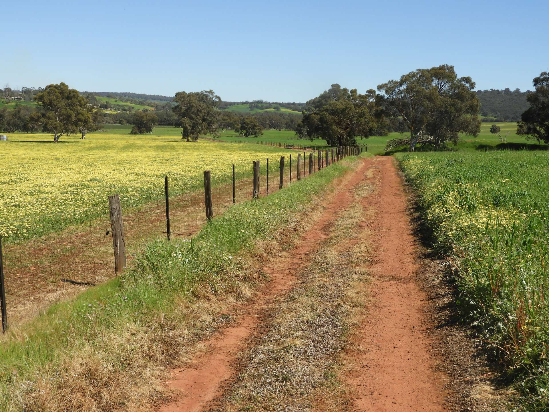 The Breakaway, Great Northern Highway, Bindoon Sold by Farmbuy.com - image 15