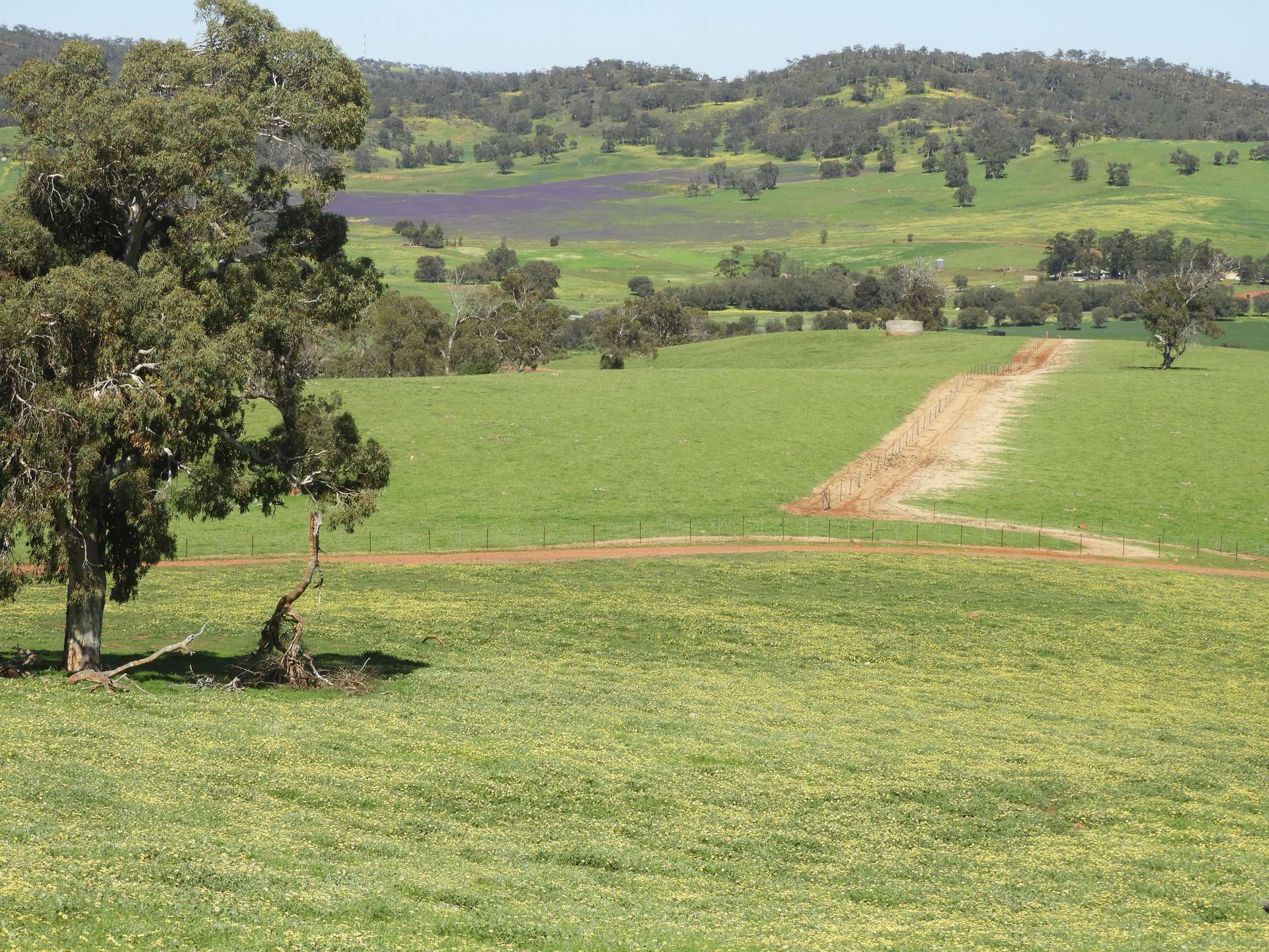 The Breakaway, Great Northern Highway, Bindoon Sold by Farmbuy.com - image 12