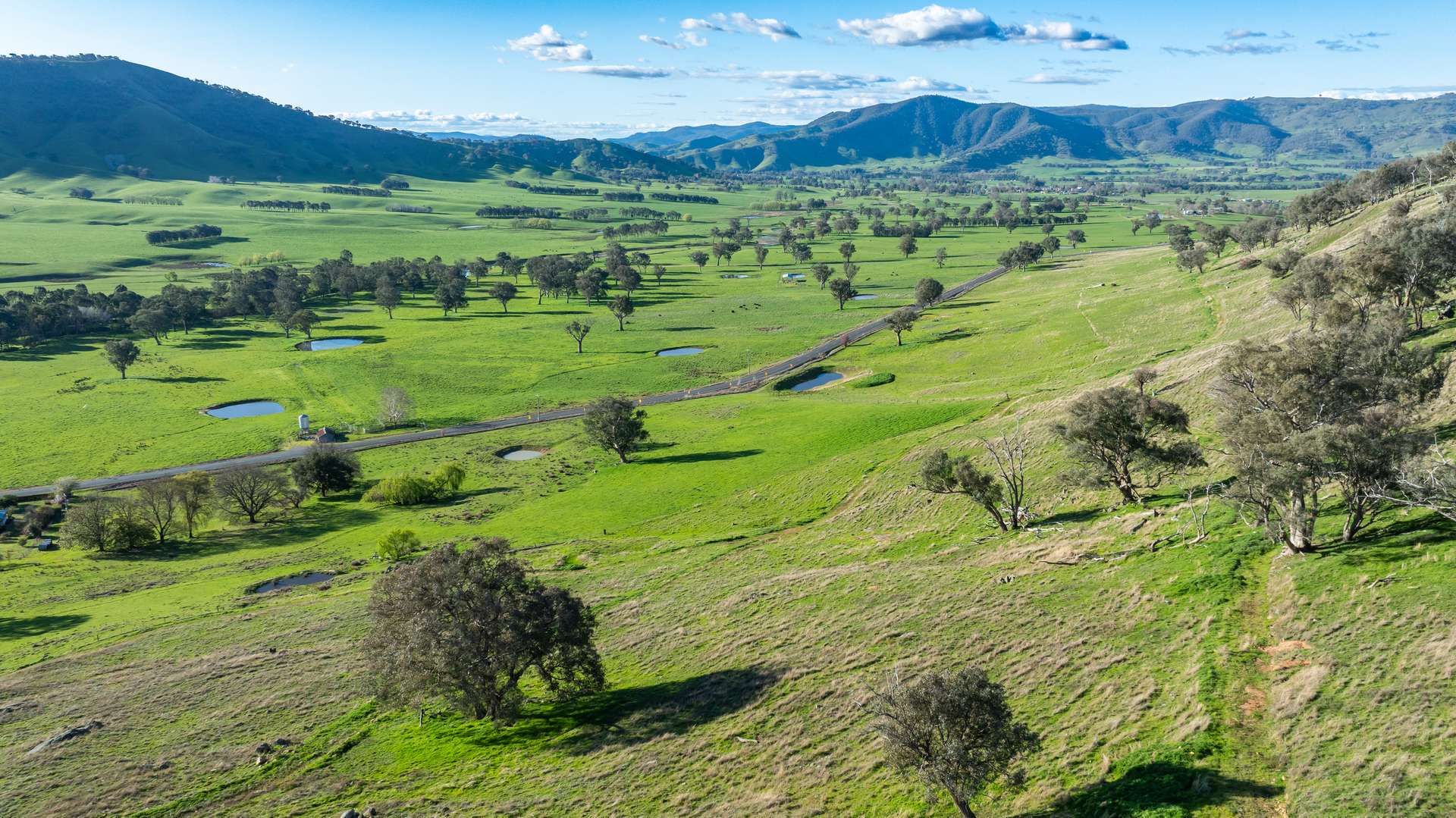 2852 Shelley Road, Walwa For Sale by Farmbuy.com - image 10