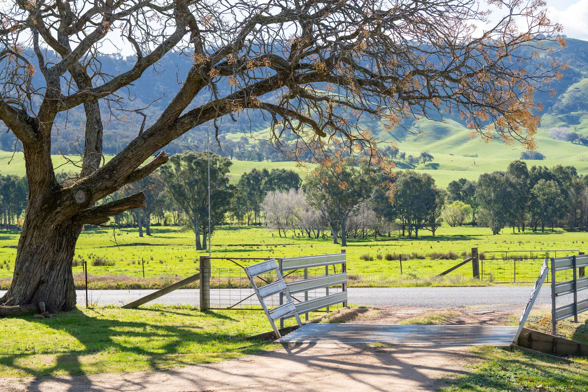 2852 Shelley Road, Walwa For Sale by Farmbuy.com - image 27