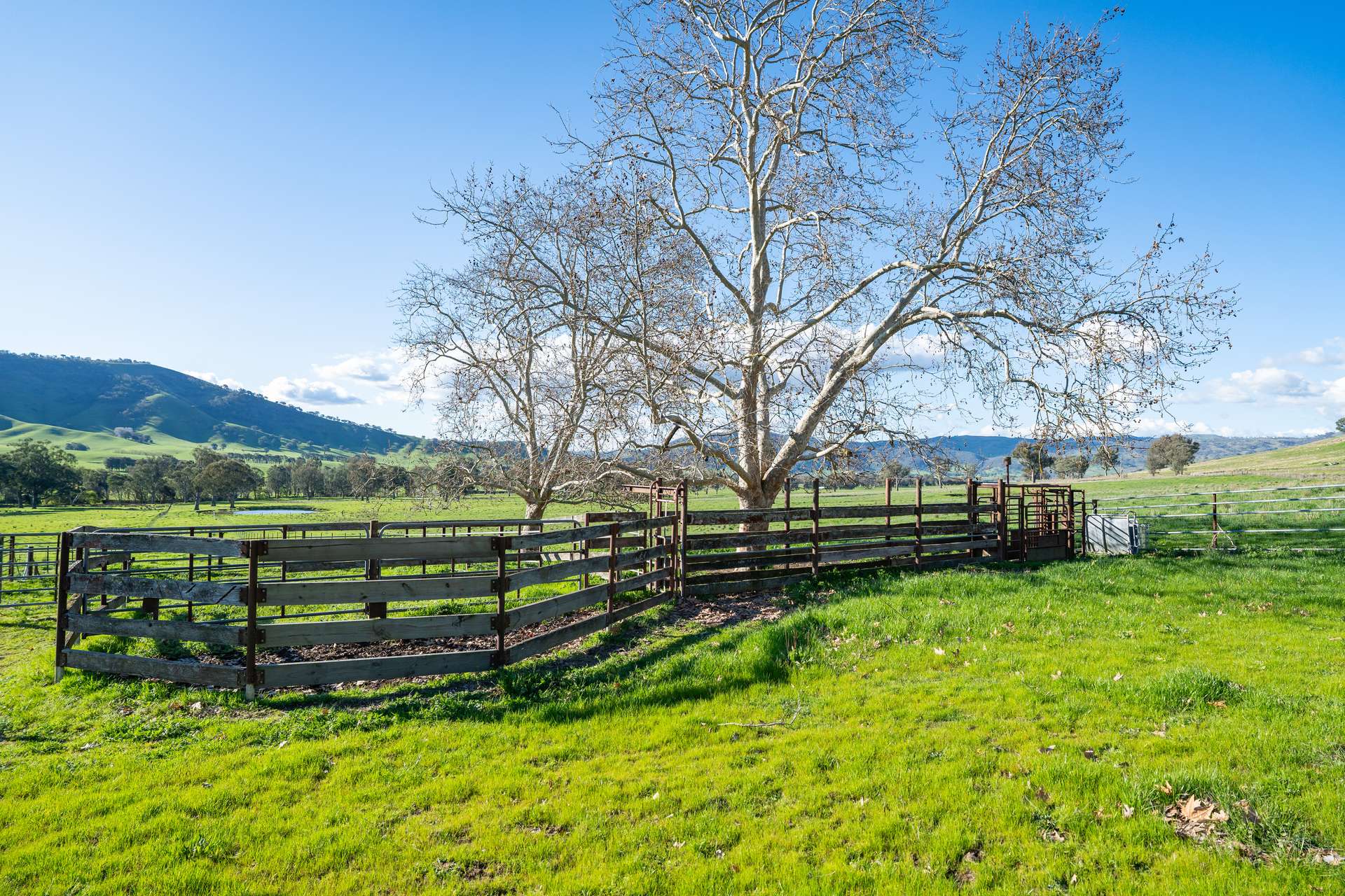 2852 Shelley Road, Walwa For Sale by Farmbuy.com - image 33
