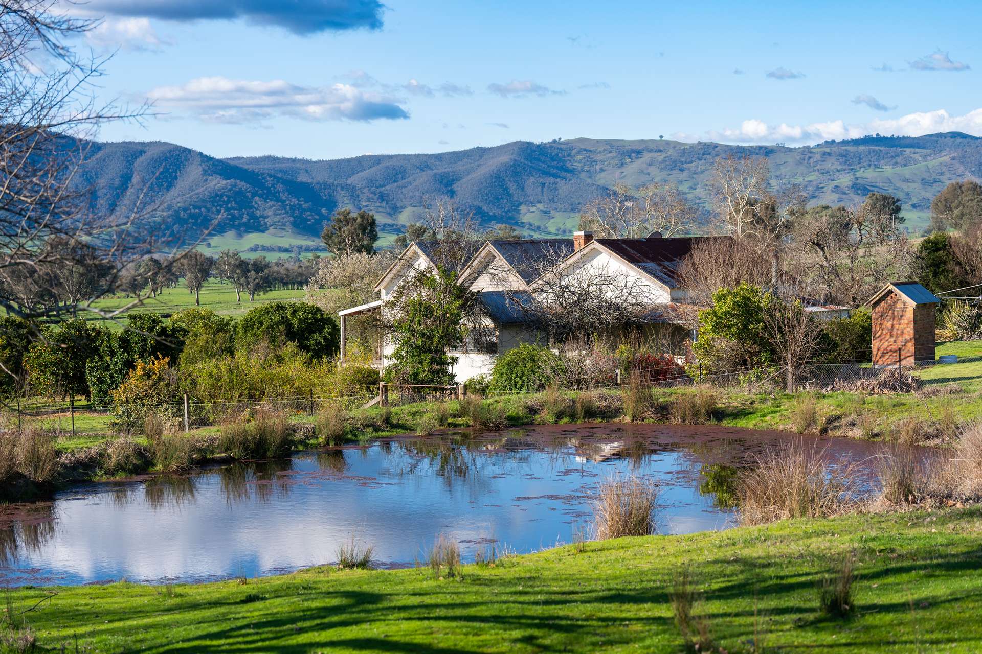 2852 Shelley Road, Walwa For Sale by Farmbuy.com - image 4