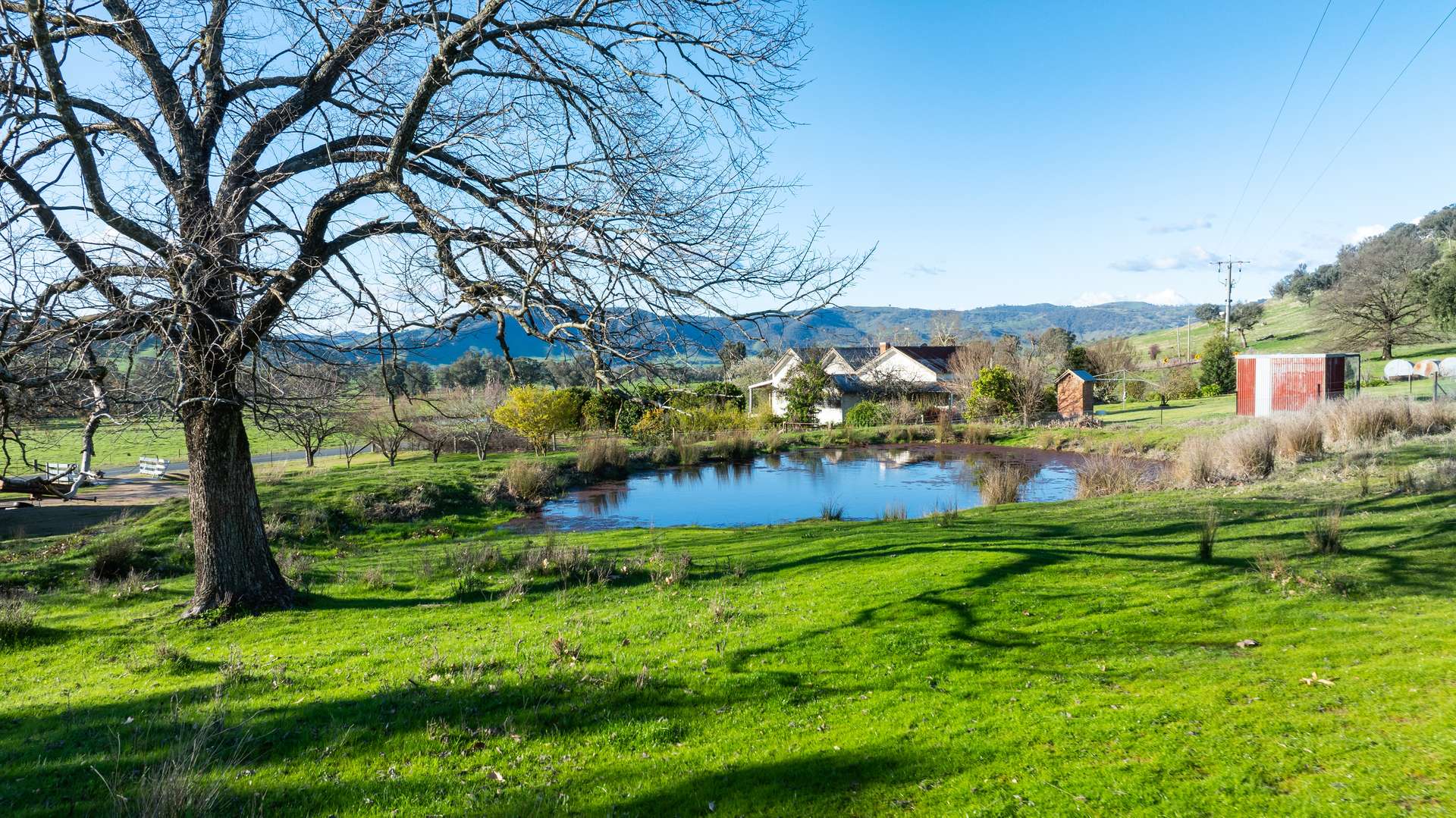 2852 Shelley Road, Walwa For Sale by Farmbuy.com - image 14