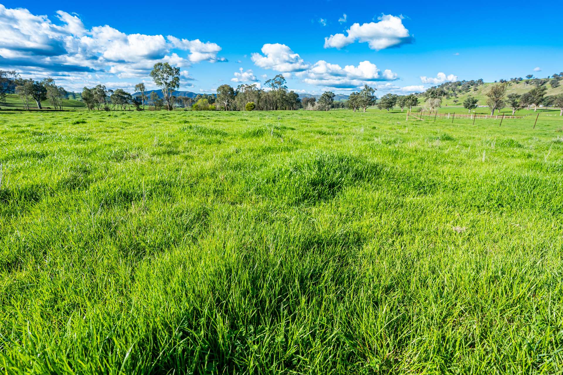 2852 Shelley Road, Walwa For Sale by Farmbuy.com - image 35