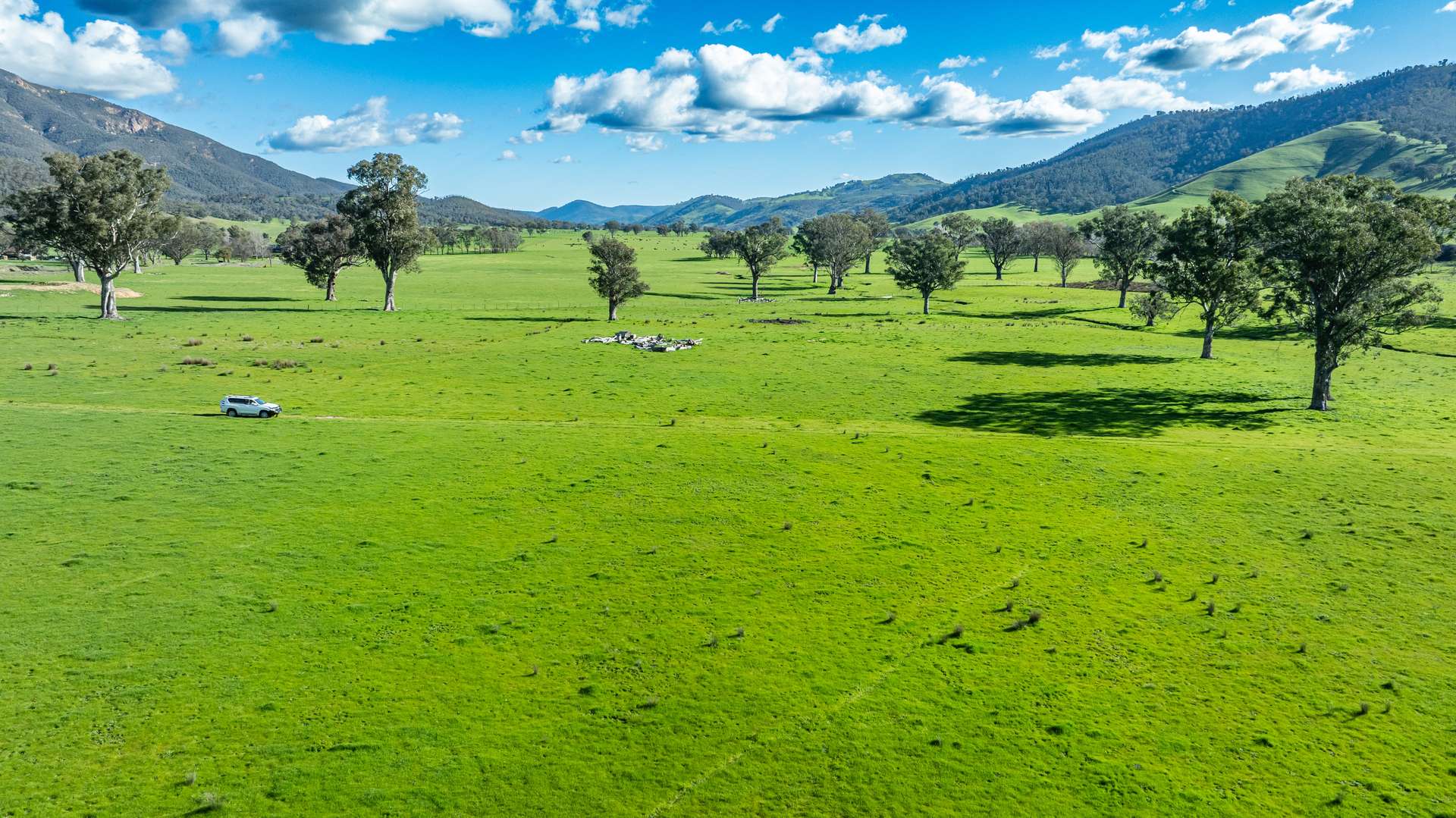 2852 Shelley Road, Walwa For Sale by Farmbuy.com - image 2