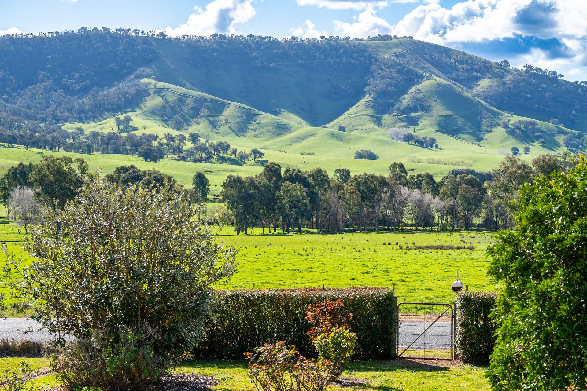 2852 Shelley Road, Walwa For Sale by Farmbuy.com - image 23