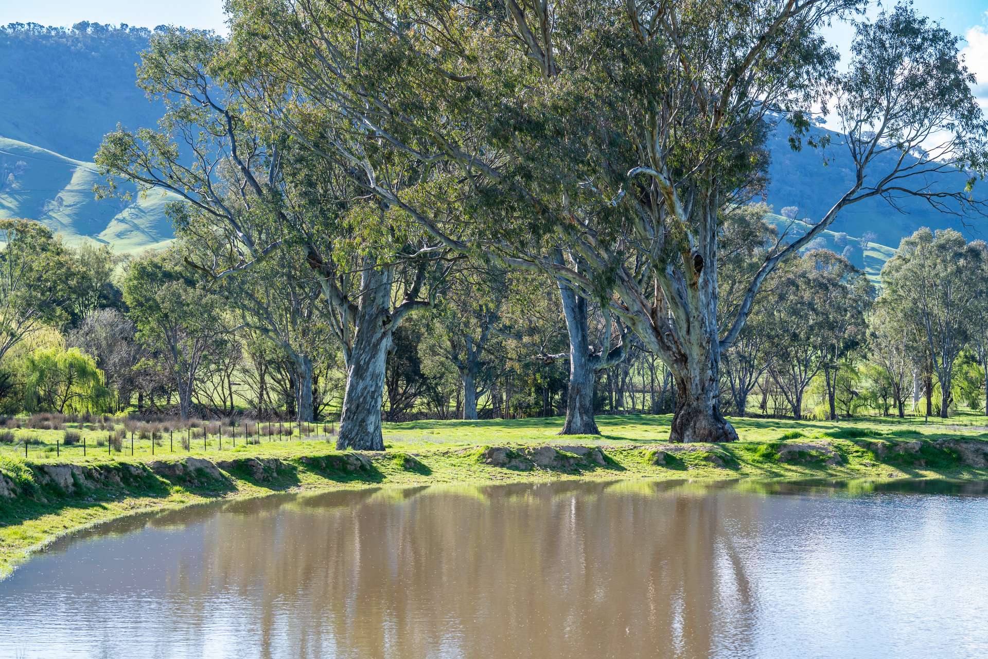 2852 Shelley Road, Walwa For Sale by Farmbuy.com - image 29
