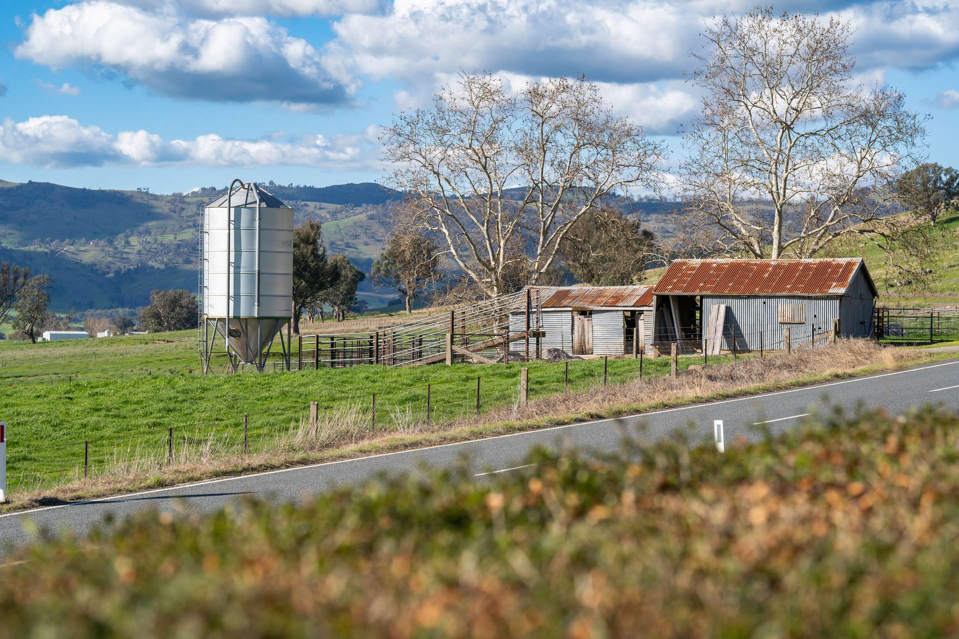 2852 Shelley Road, Walwa For Sale by Farmbuy.com - image 24