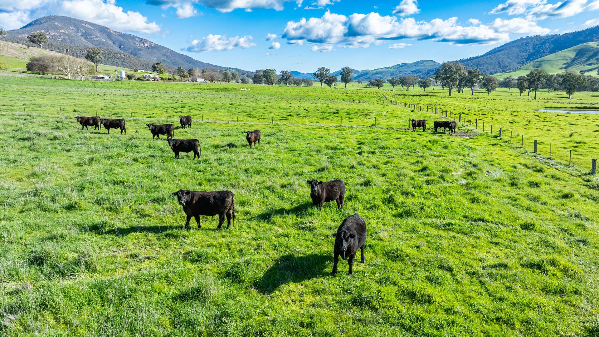2852 Shelley Road, Walwa For Sale by Farmbuy.com - image 9