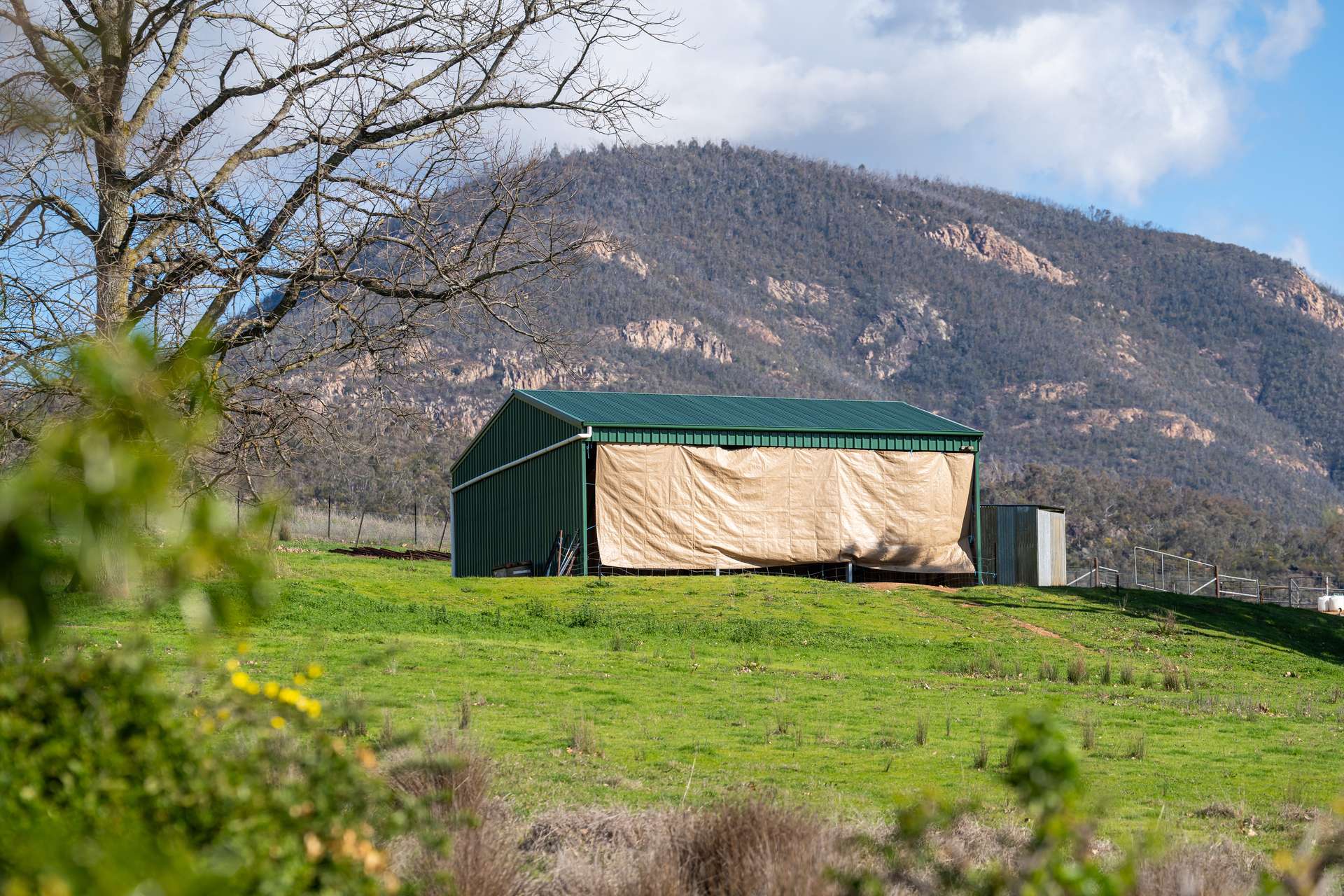 2852 Shelley Road, Walwa For Sale by Farmbuy.com - image 26
