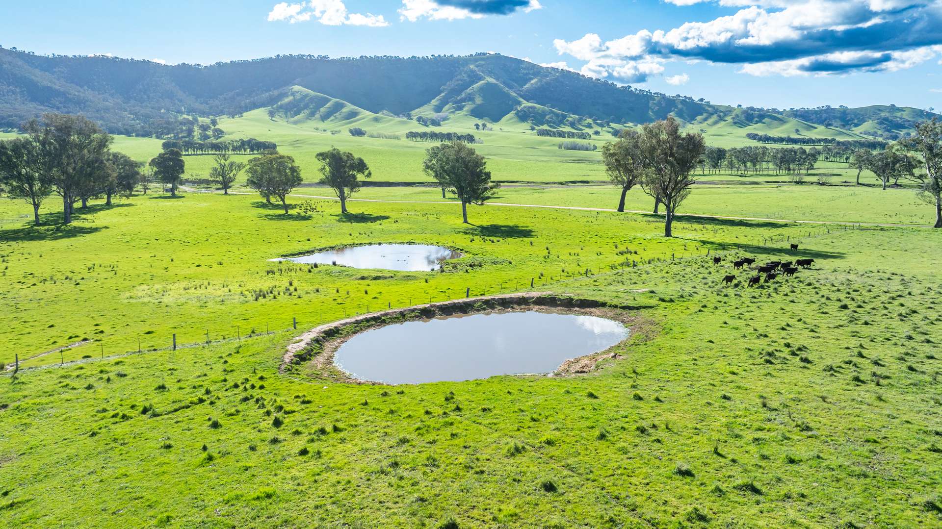 2852 Shelley Road, Walwa For Sale by Farmbuy.com - image 7