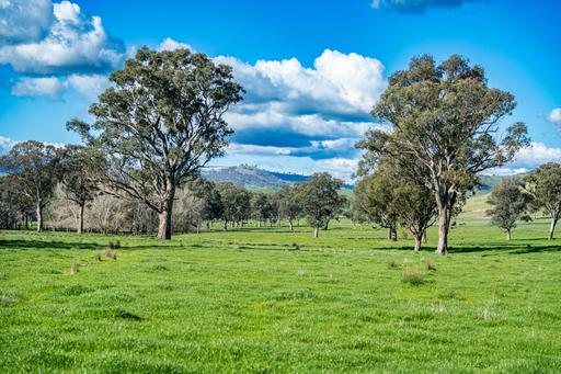 2852 Shelley Road, Walwa VIC 3709