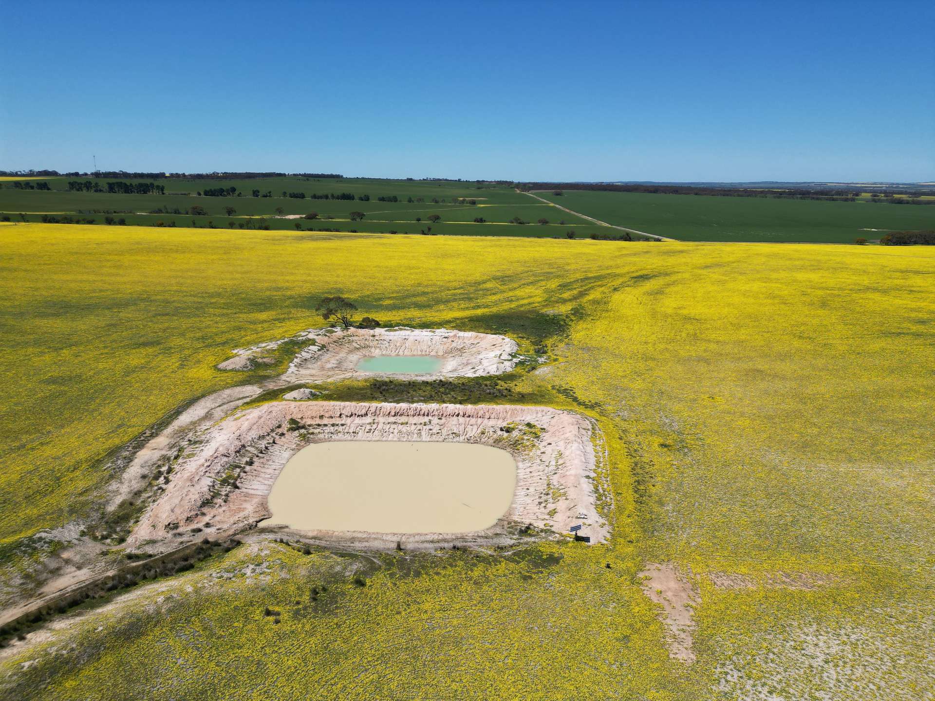 2929 Rabbit Proof Fence Road, Bullaring Sold by Farmbuy.com - image 29