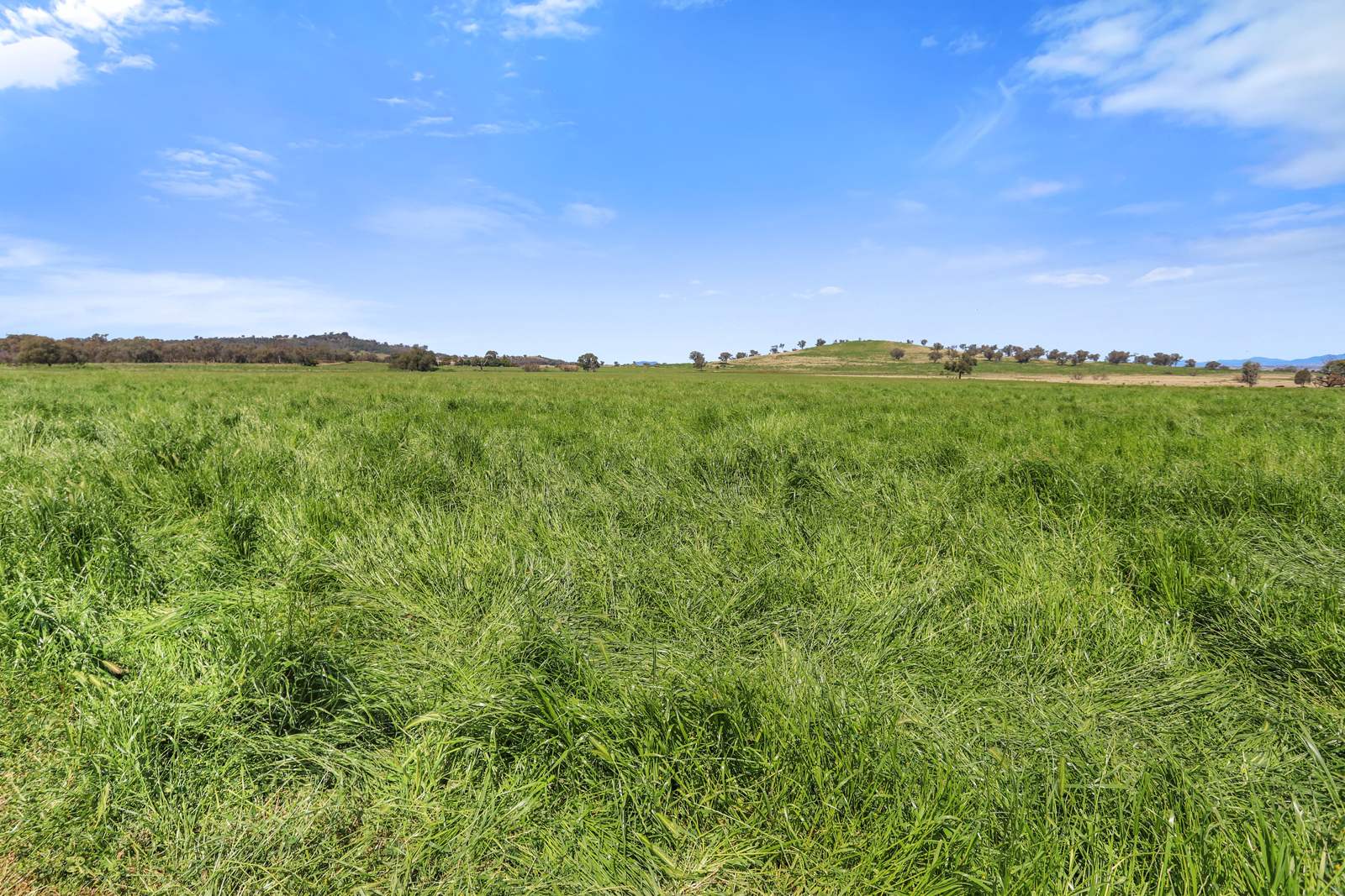 "Huntingdale" 2973 Manilla Road, Attunga Sold by Farmbuy.com - image 20