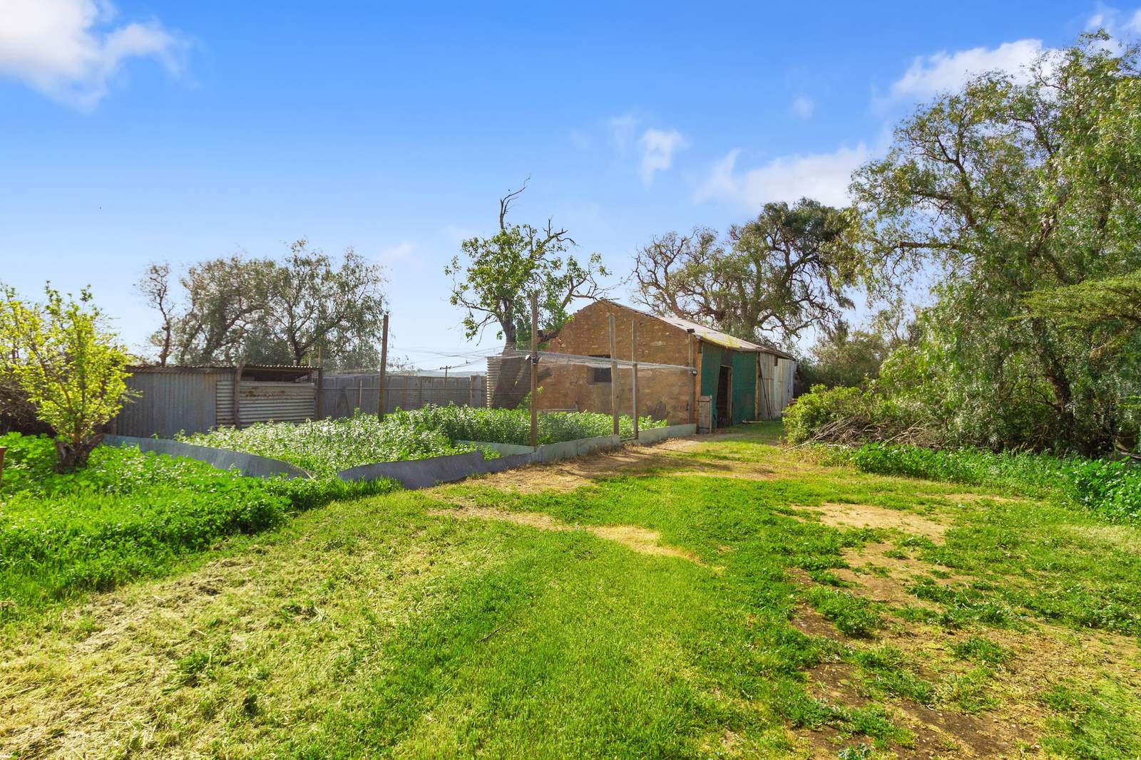 204 Tohls Road, Booborowie Sold by Farmbuy.com - image 27